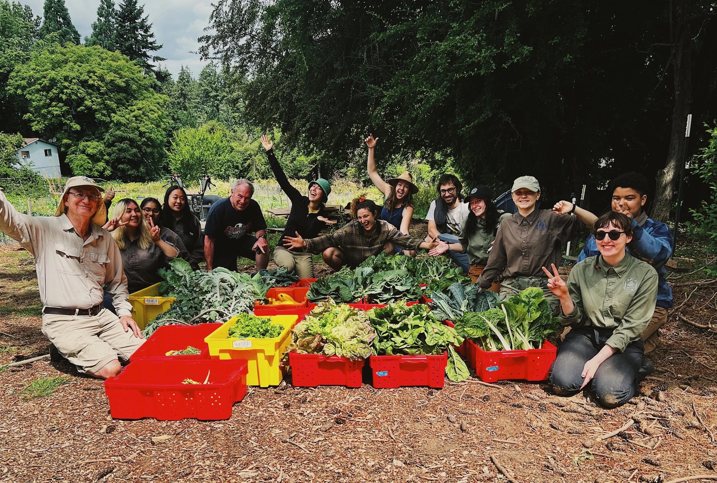 A group of happy people sitting around bins full of leafy greens