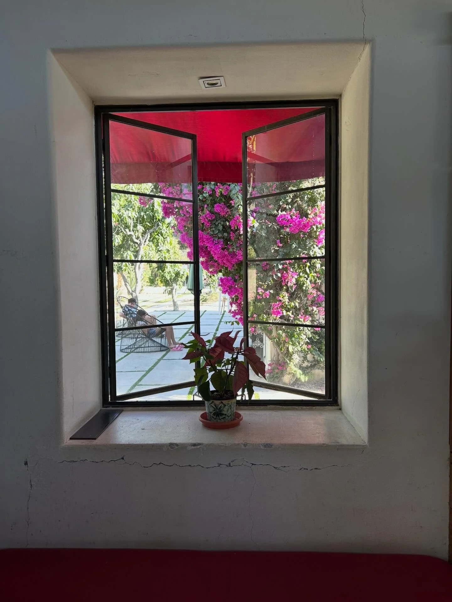 A few bits and bobs from the past month&hellip;

1. Beautiful view from @florafarms during spring break.
2. The signs from Saturday&rsquo;s protest were amazing, at least we have humor on our side!
3. My town showed up for No Kings! So happy to be a 