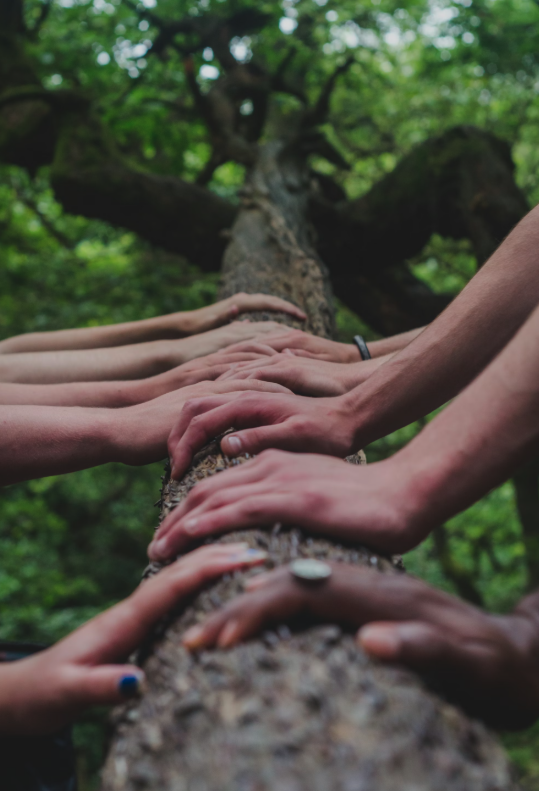 Coordinating science across disciplines&nbsp;