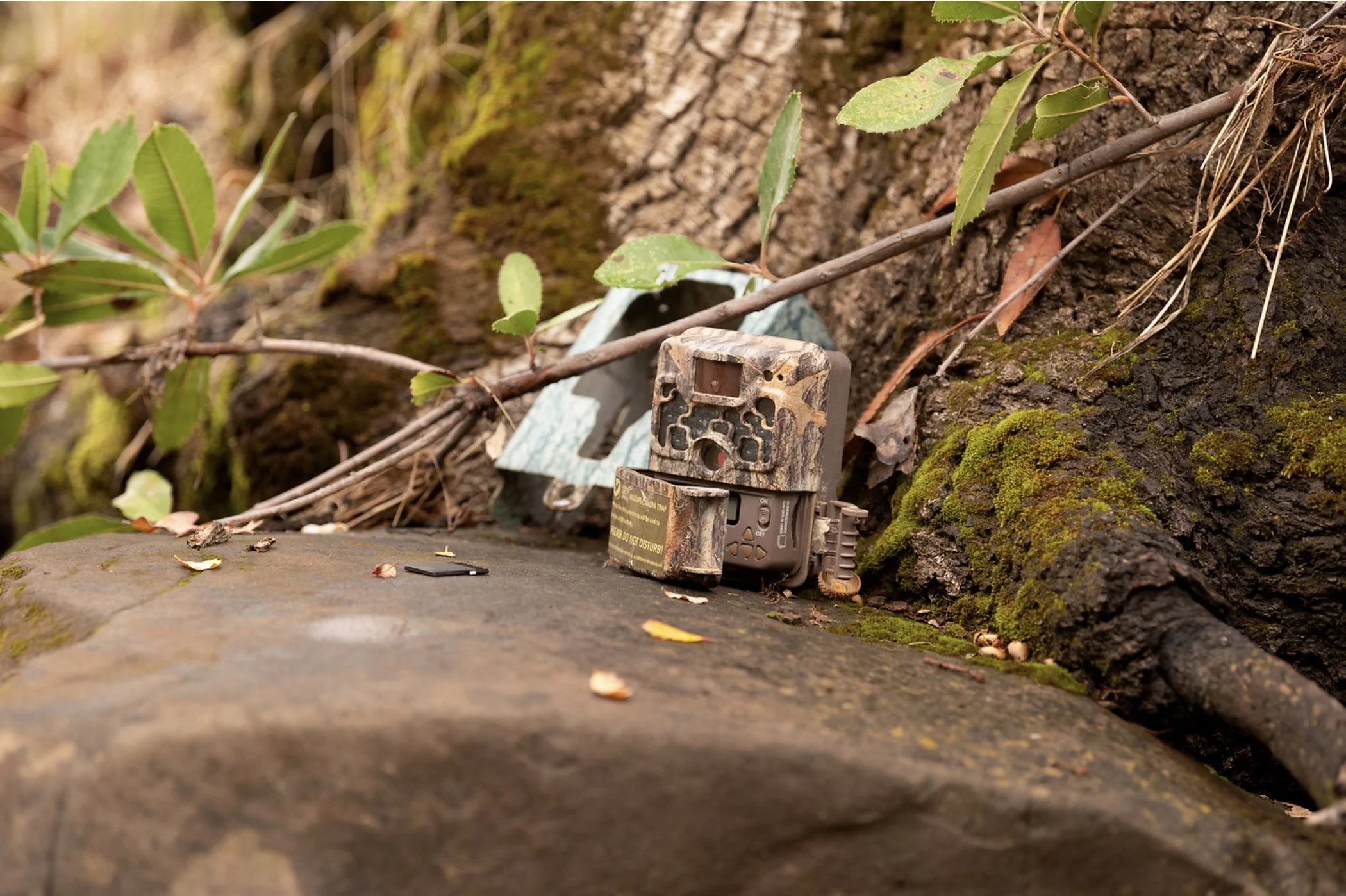 Monitoring diverse animal populations