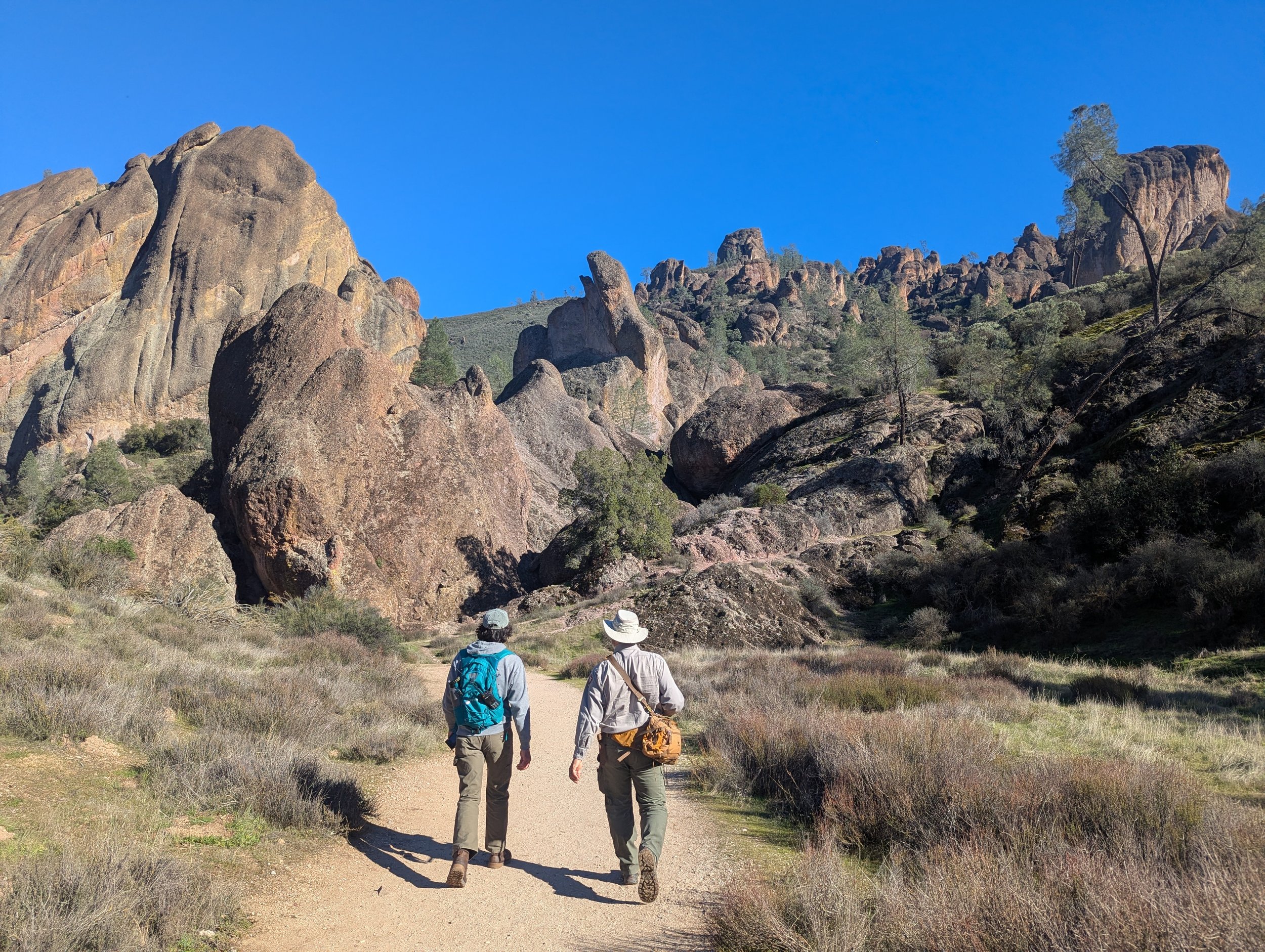 Field deployments and community engagement at Pinnacles National Park