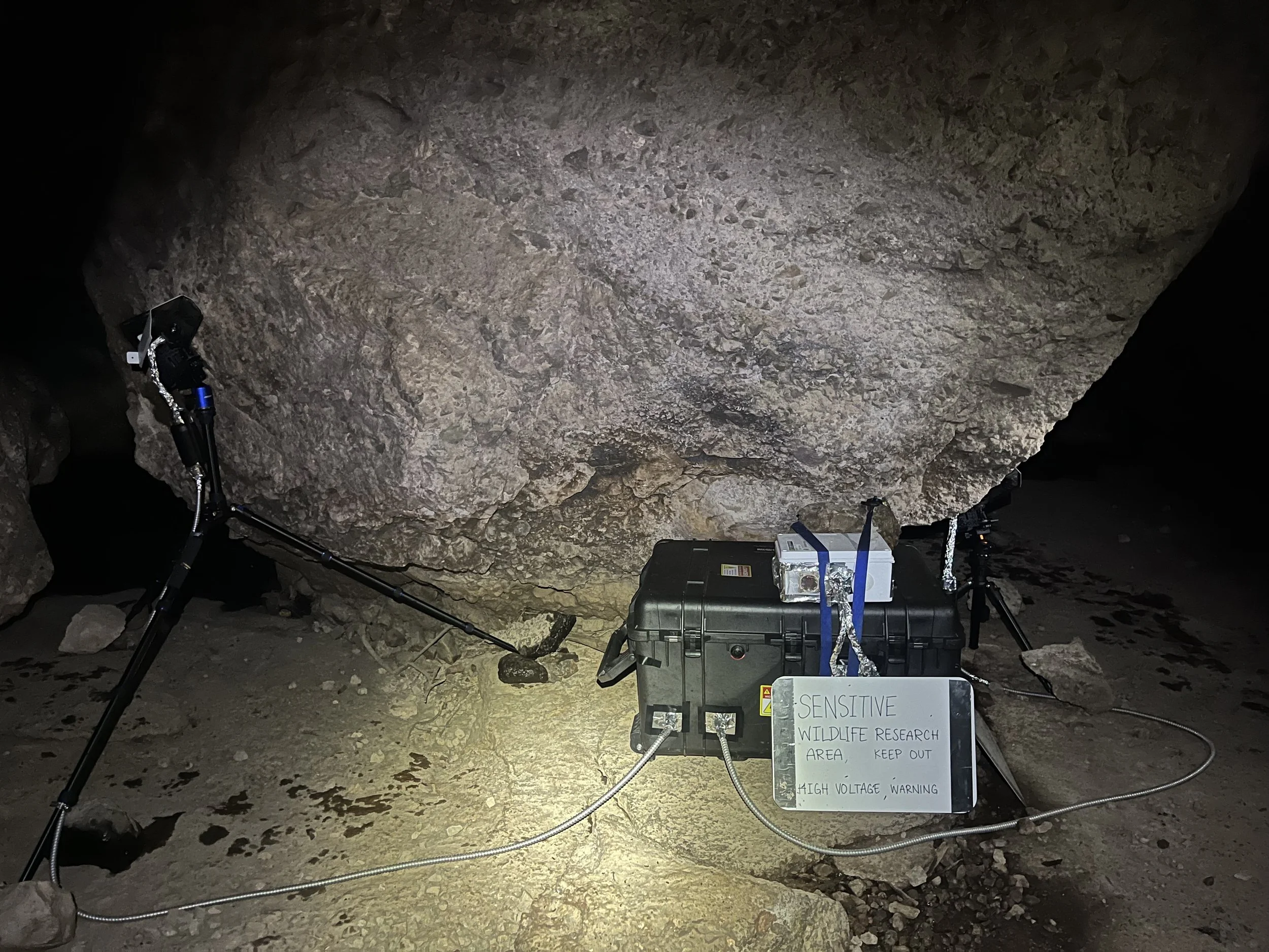 Monitoring bats through a multimodal, autonomous sensing system at Pinnacles National Park