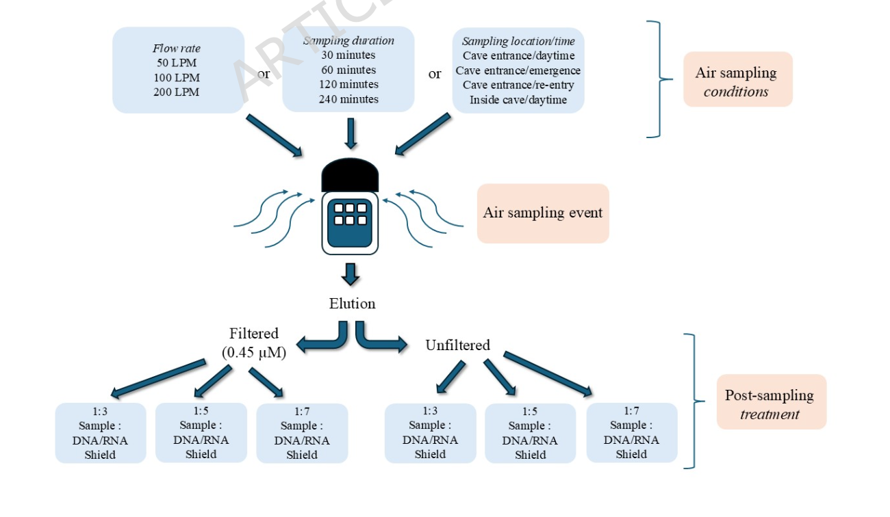 Optimization of environmental air sampling for viral metagenomics in a cave-roosting bat assemblage