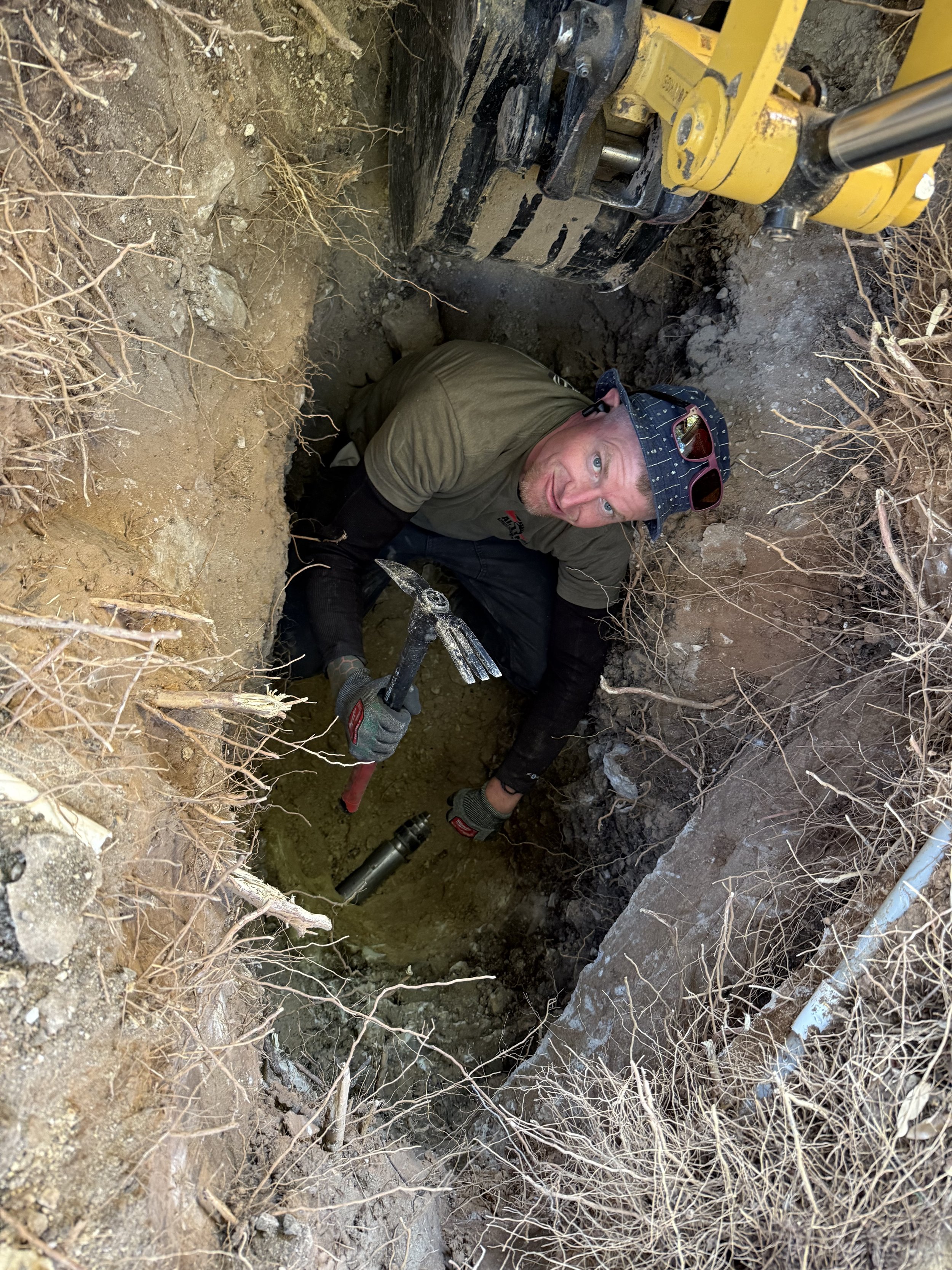 Hammerhead mole Alex in trench.jpg