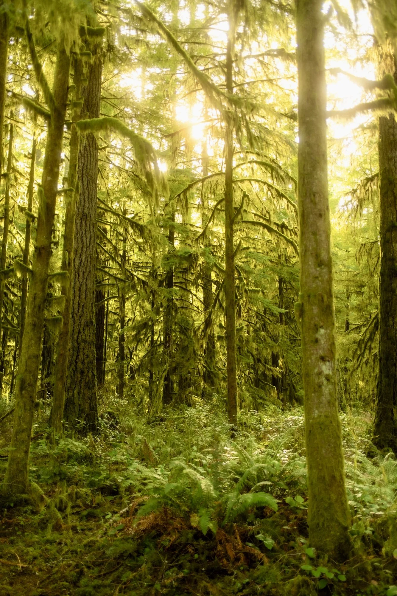 Off the beaten path with my x100vi