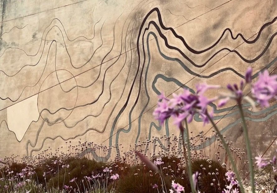 A large wall with topographic contour lines surrounding a field of pink and purple wildflowers.