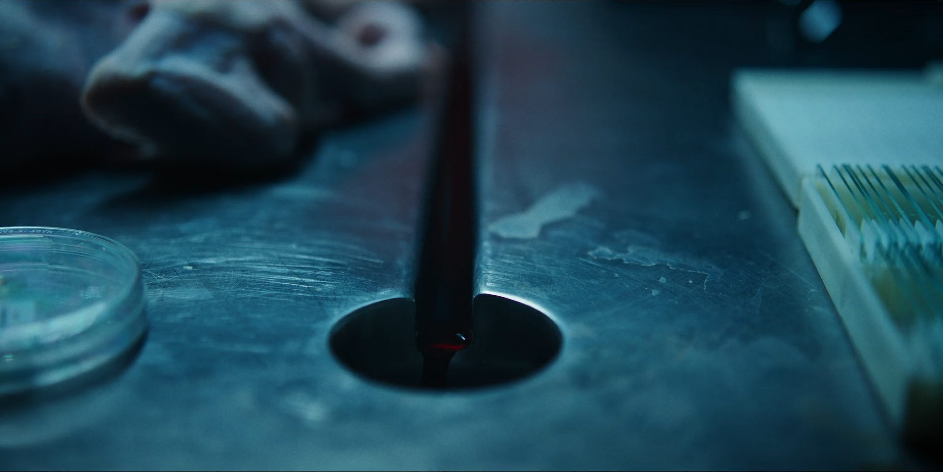 feathers - blood.PNG