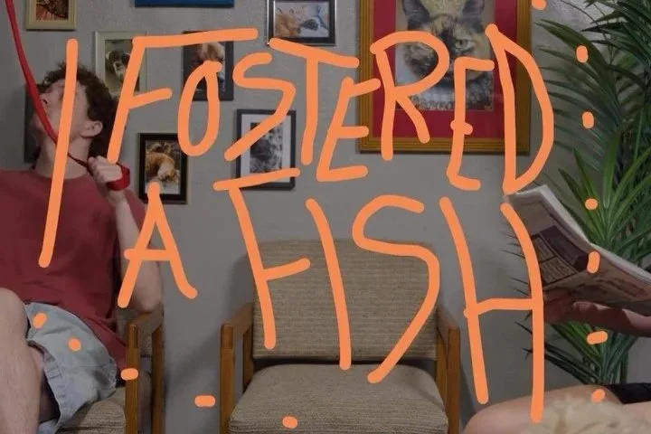 Augie Isaac - I Fostered A Fish