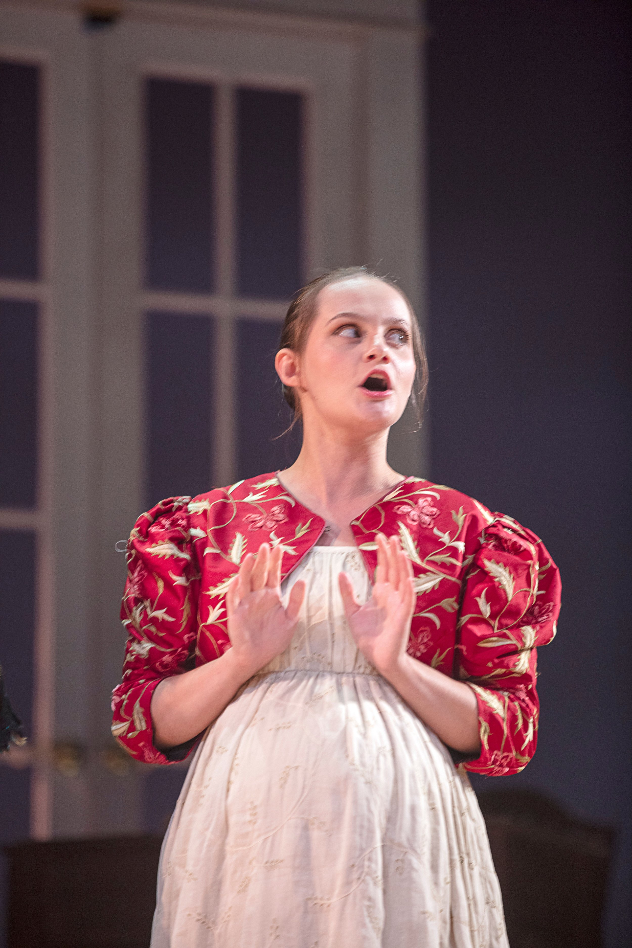 Sense and Sensibility, Mrs. Palmer