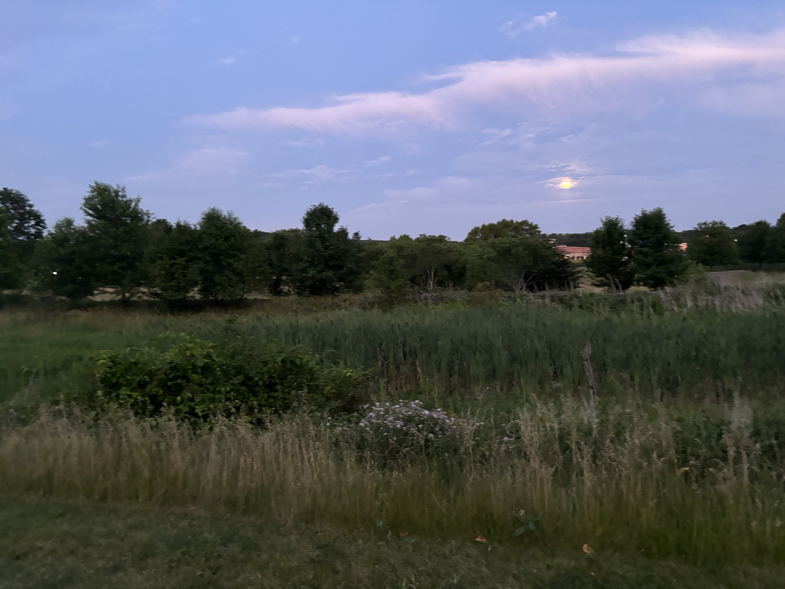 Summer at DeSales University Campus