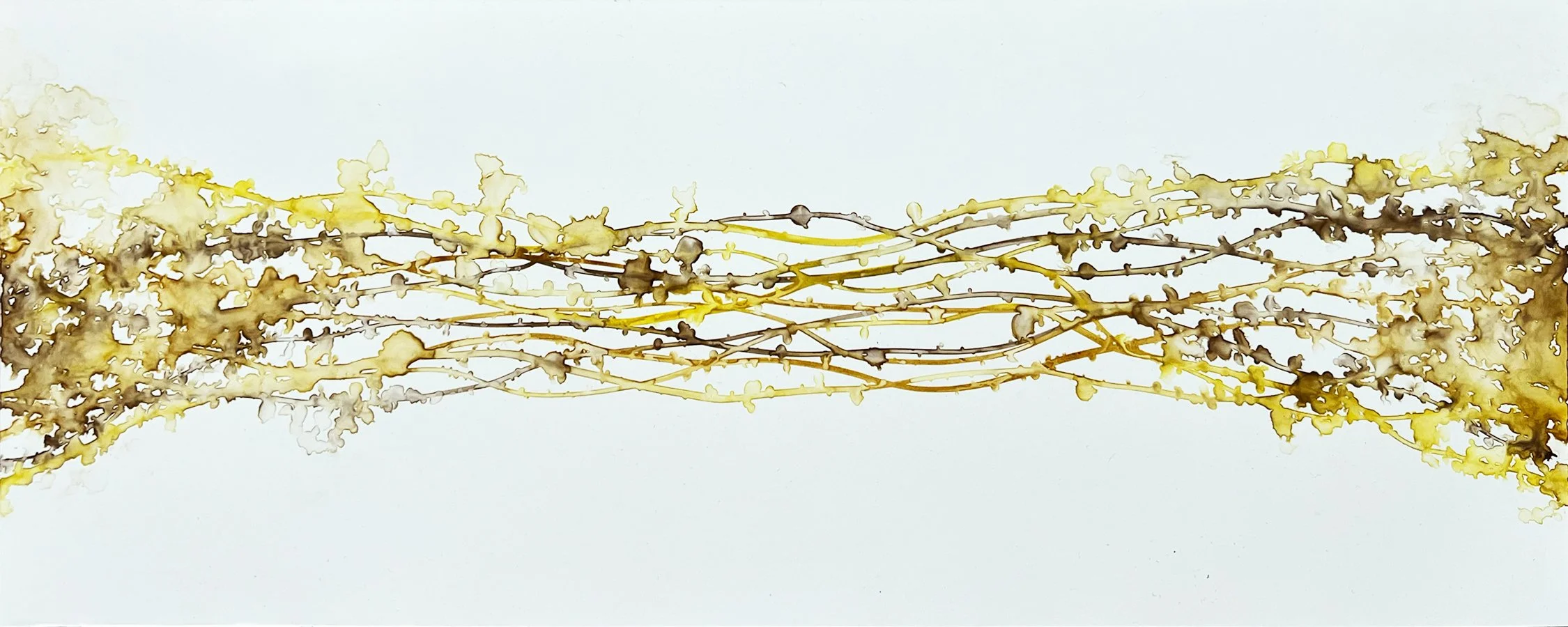 Rhythmic Bands 1