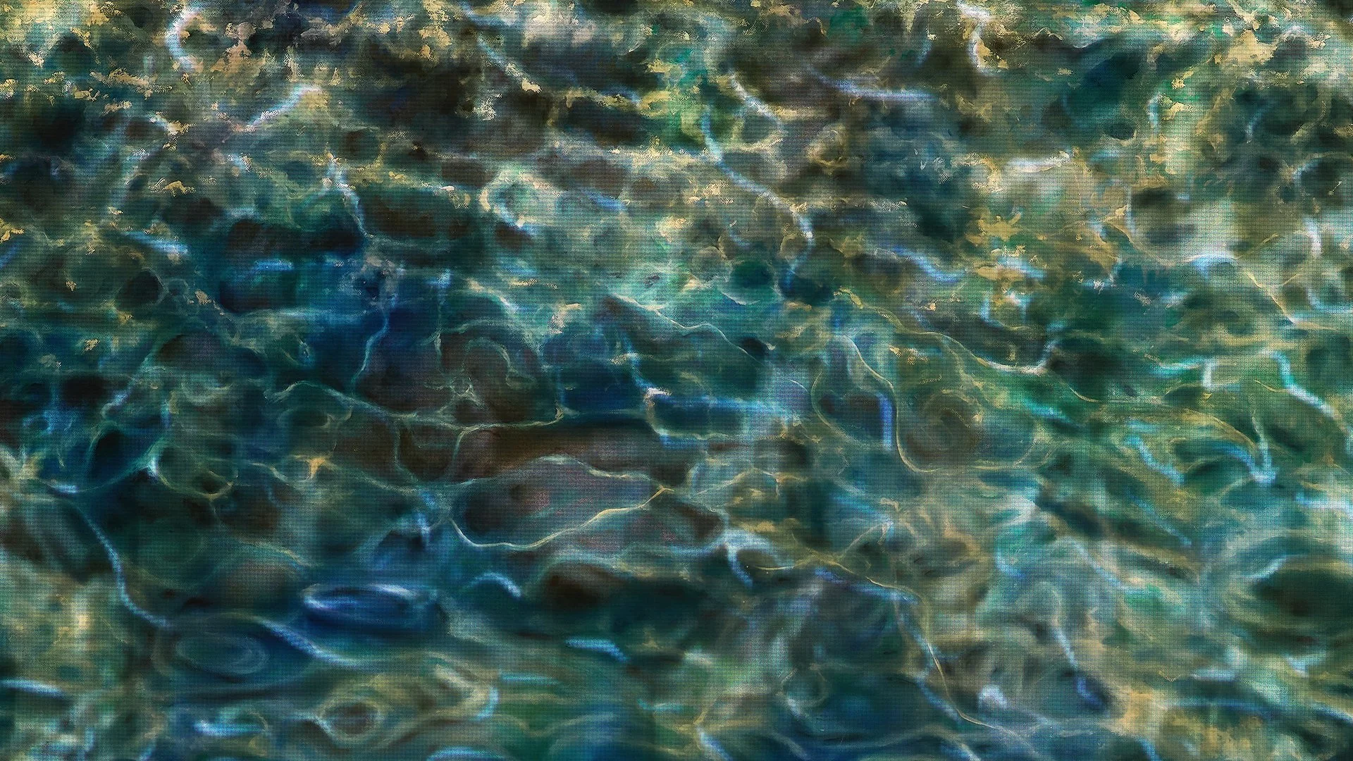 Fluid