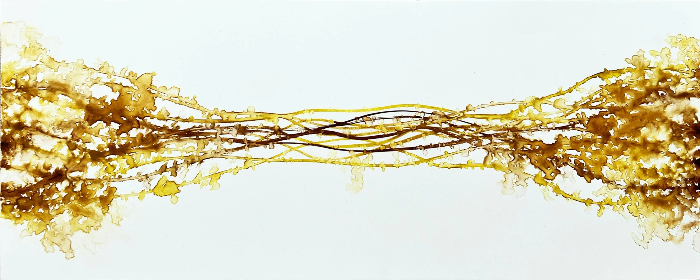Rhythmic Bands 3