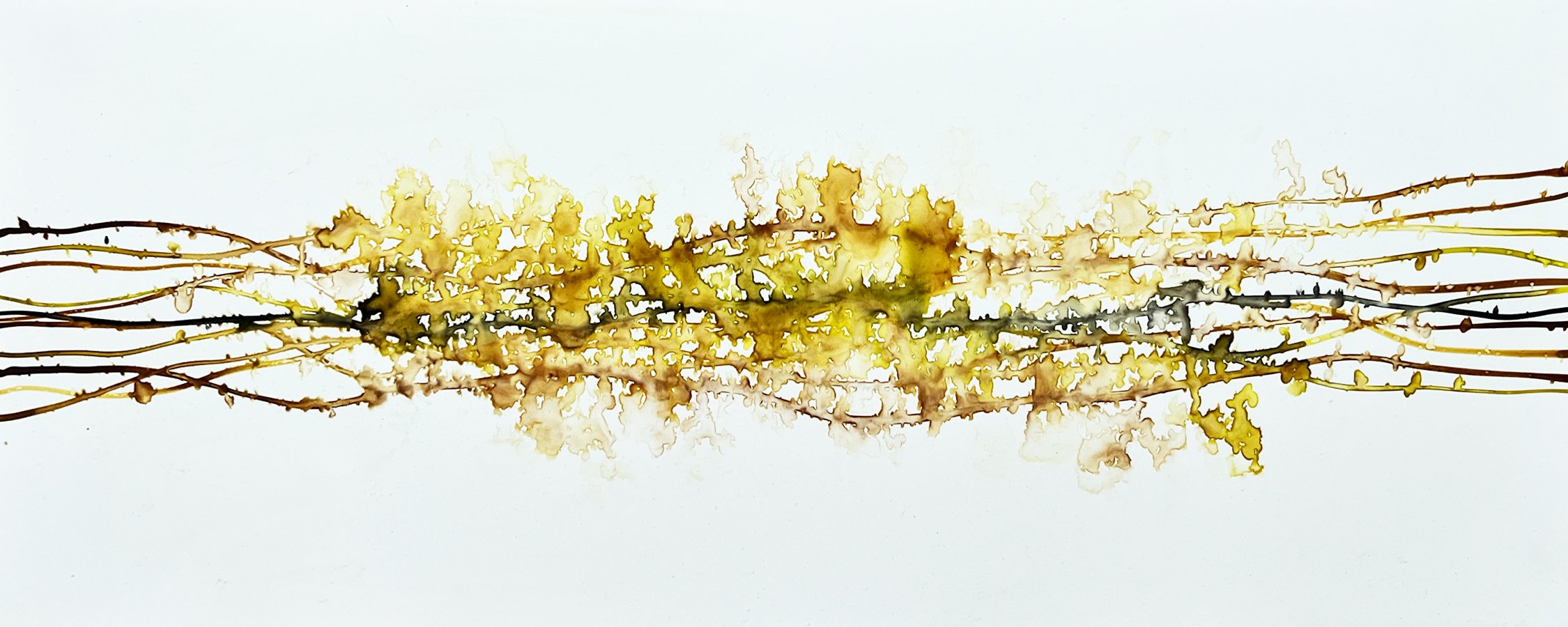 Rhythmic Bands 6