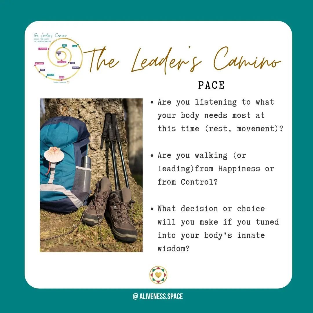 ✅ ALIVENESS CHECK-IN: 🐚 The Leader's Camino - Pace

❌ 87% of pilgrims who were not able to complete the 800 km walk to Santiago de Compostela was attributed to one small culprit: blisters. 😖 

The simple strategy to prevent this?
🚶&zwj;♀️ Walk at 