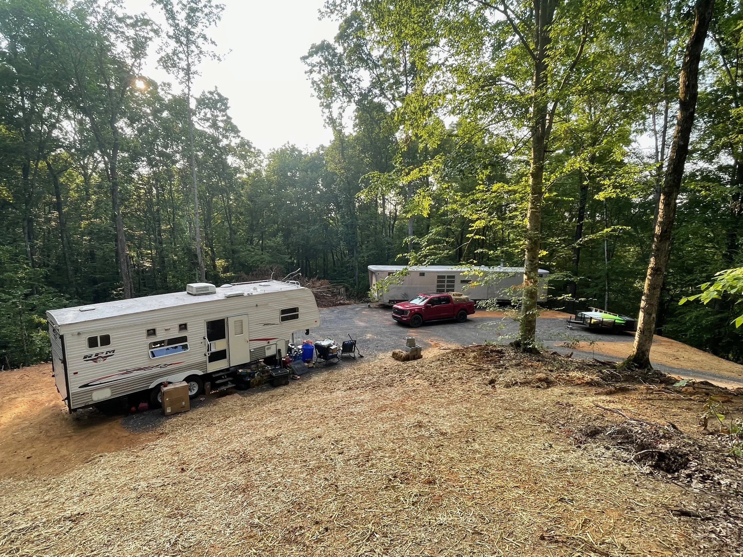 Daisy Mae makes it to the forest!