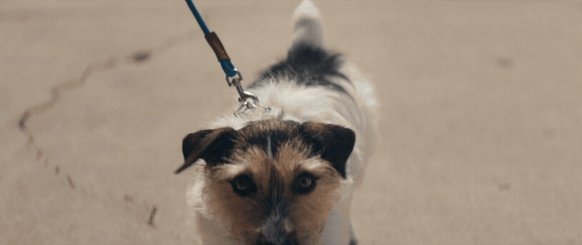 Rover Gif crop.gif