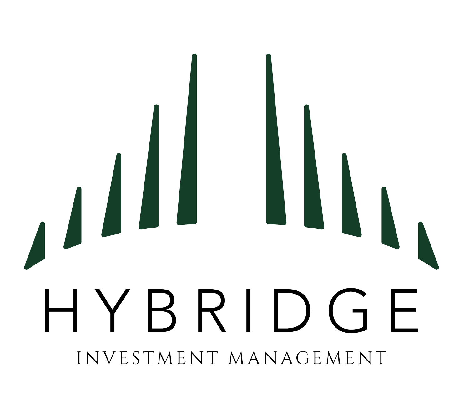 Hybridge 3 Sackett
