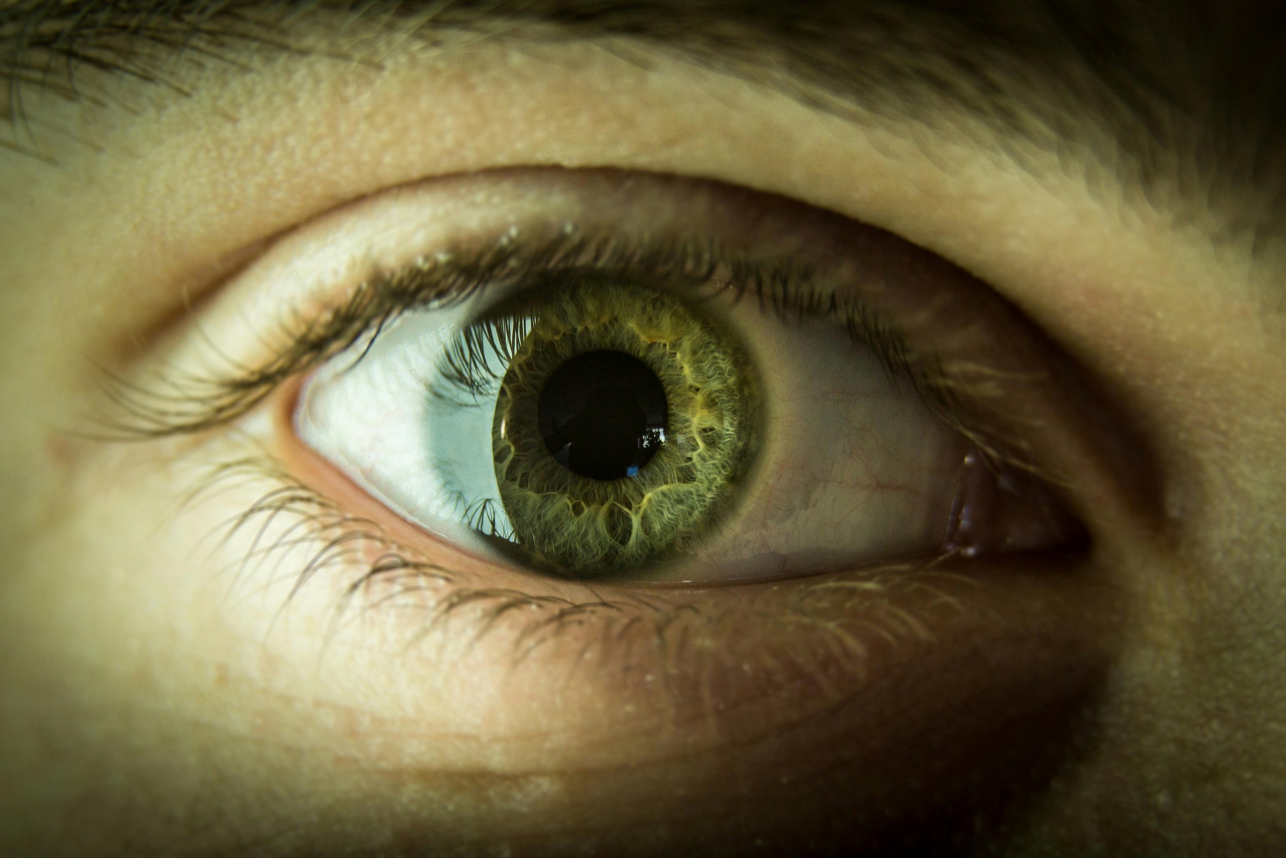 Biosimilars in Retina Care: What Your Practice Needs to Know in 2026