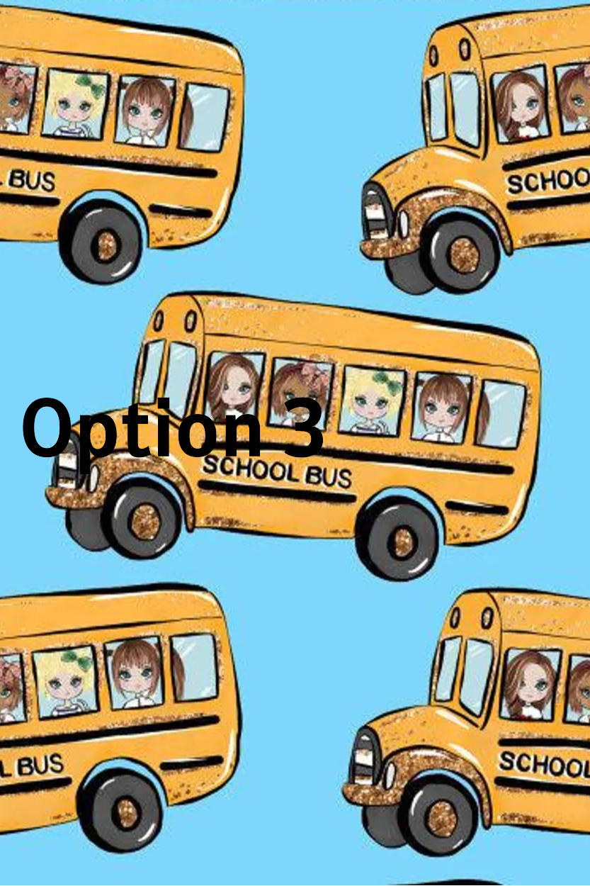 option3.PNG