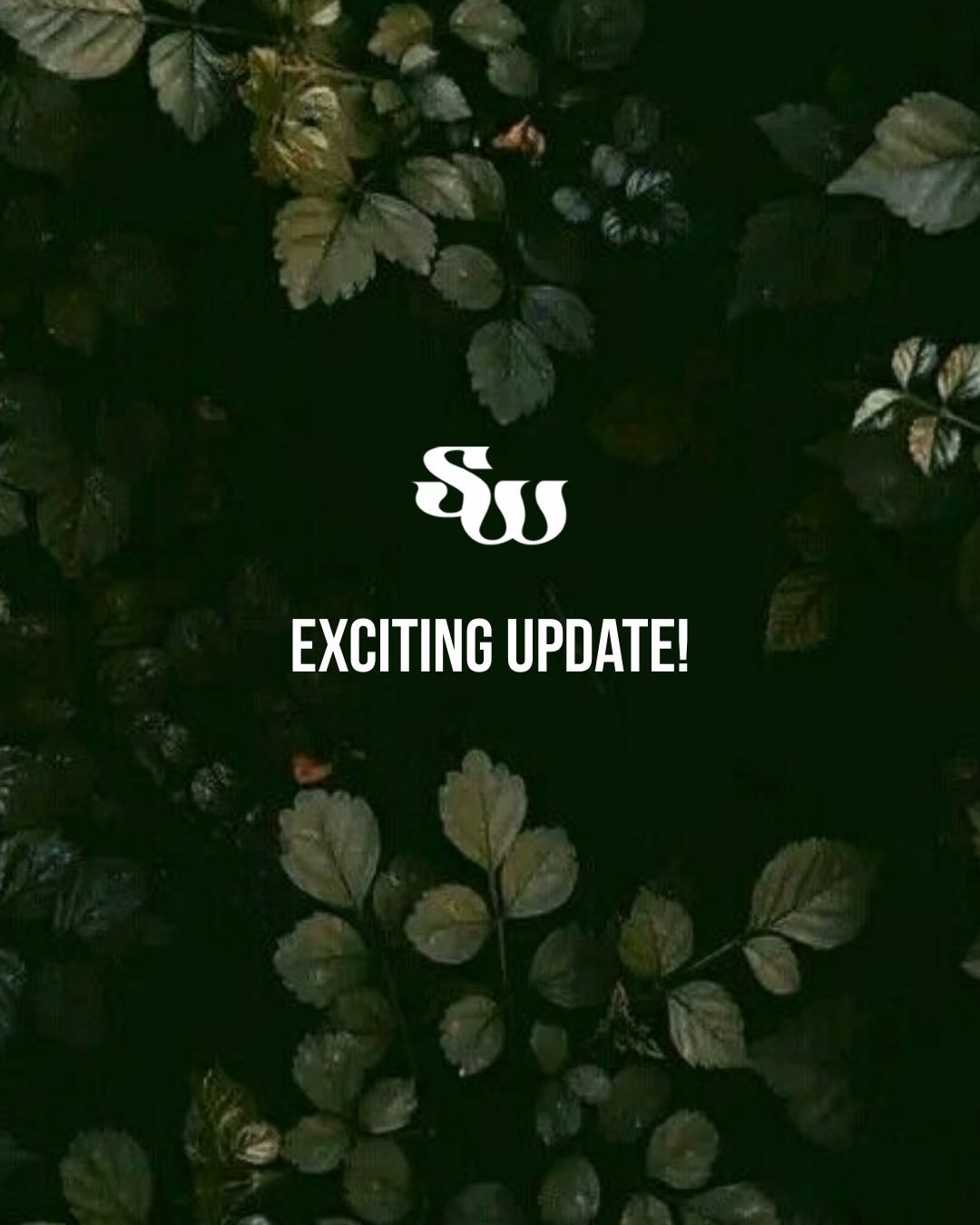 Happy Birthday to me!!! (Yes, this song is from The OC)

I&rsquo;m so excited to announce that I am now officially represented by @rachelneelyagent at the wonderful @mushensentertainment !
Rachel is a powerhouse of an agent, and I knew I wanted her t