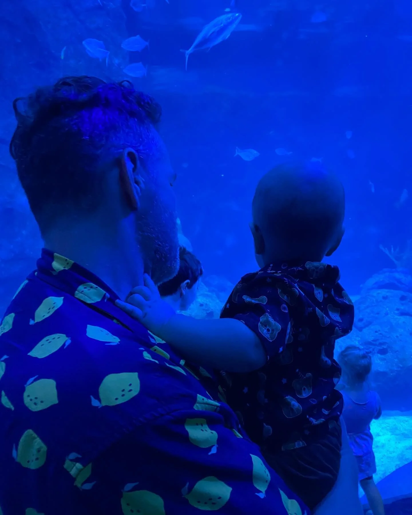 Such an amazing day watching this little guy light up at the @aquariumstl #happyfathersday