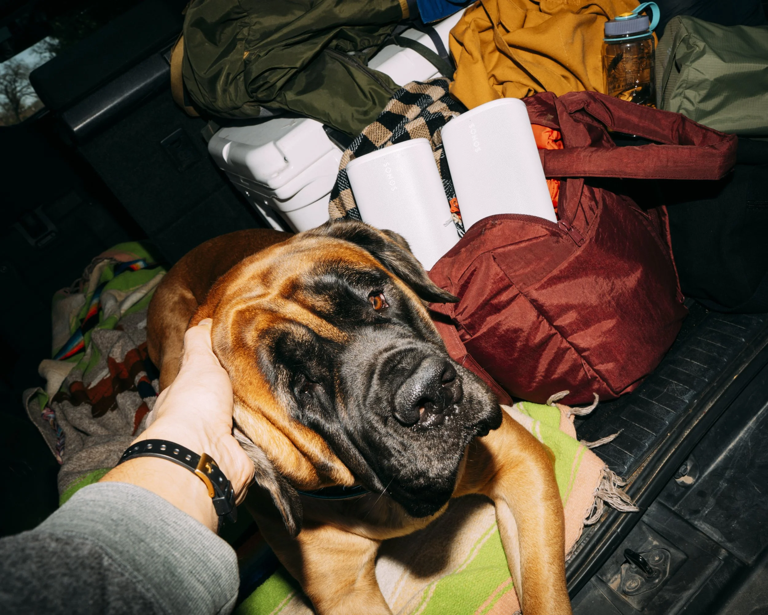 Sonos_AntonioSantos_Ways&Means_exp31027_Car_Packing_Mojave_0738.jpg
