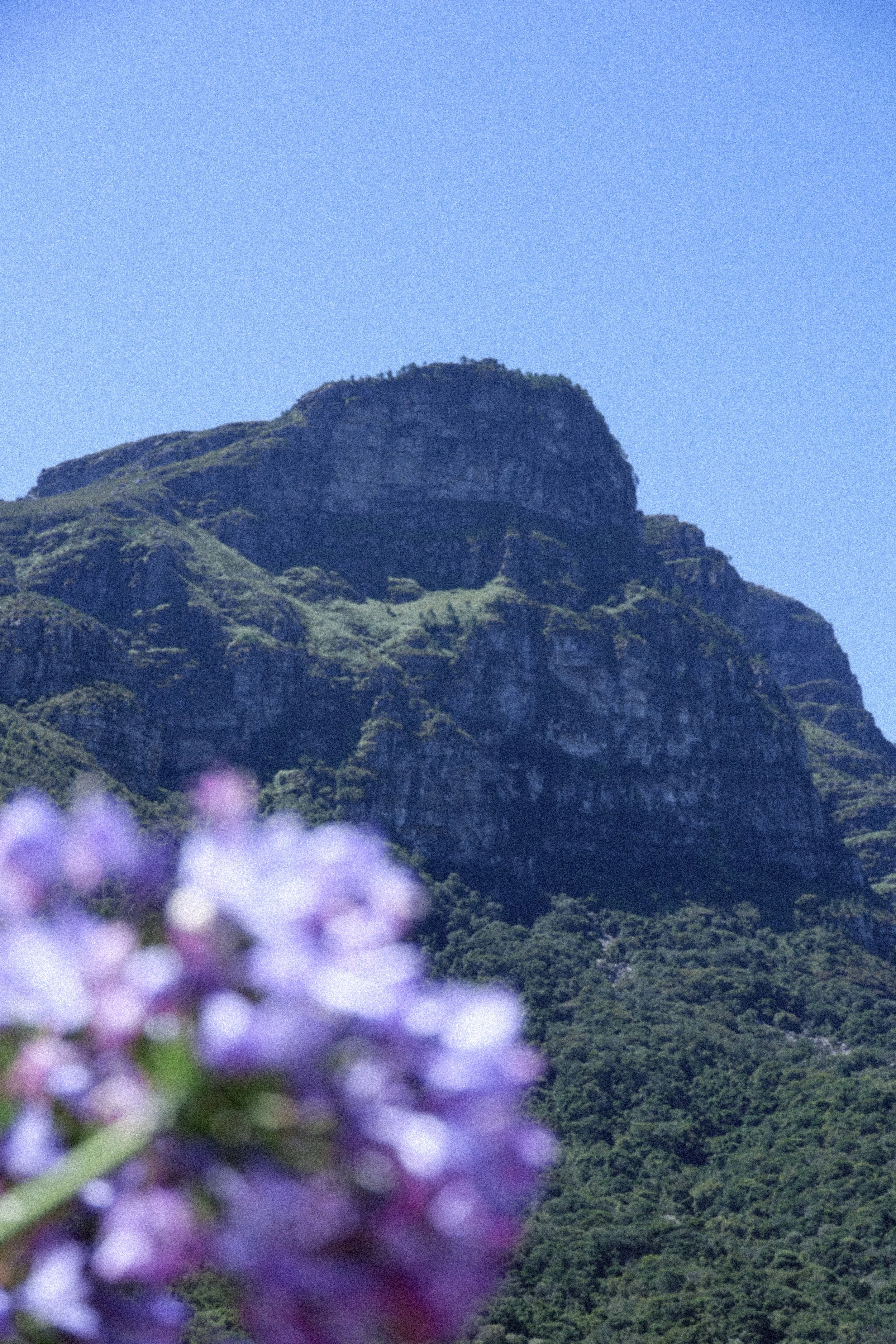 Image - 2024-08-23T164813.822.jpg