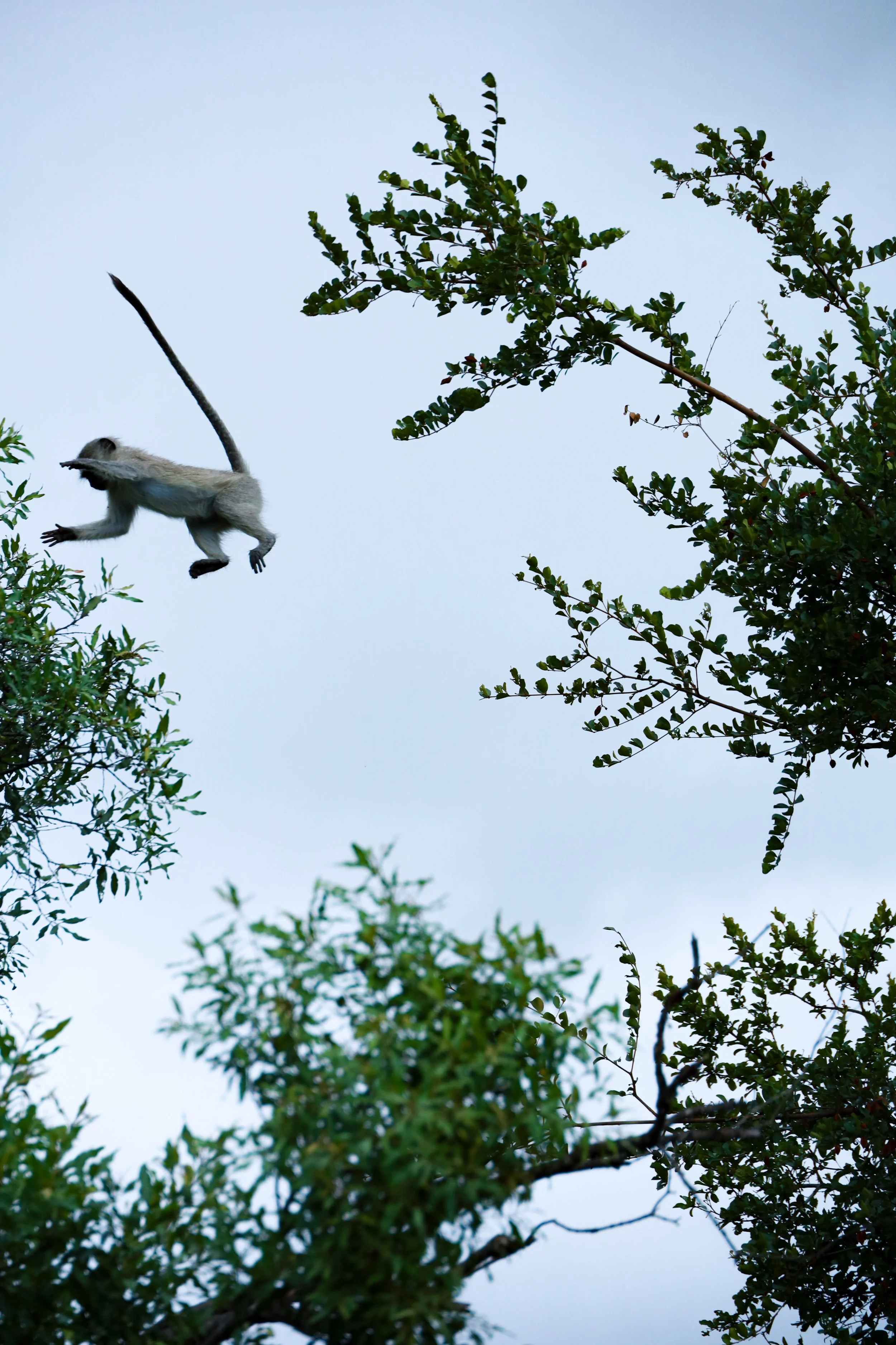 Image - 2024-08-24T102132.522.jpg