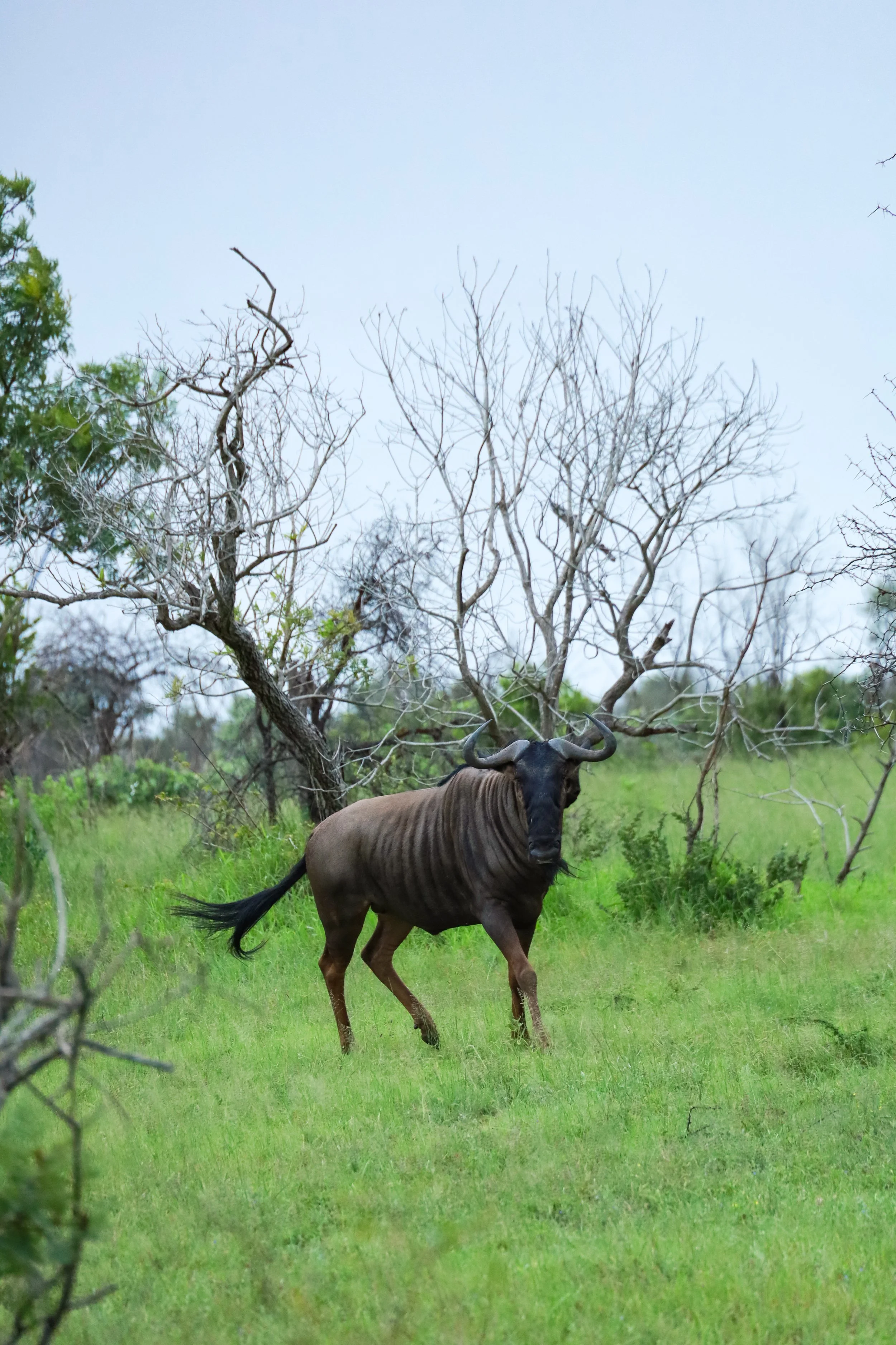 Image - 2024-08-24T101907.491.jpg