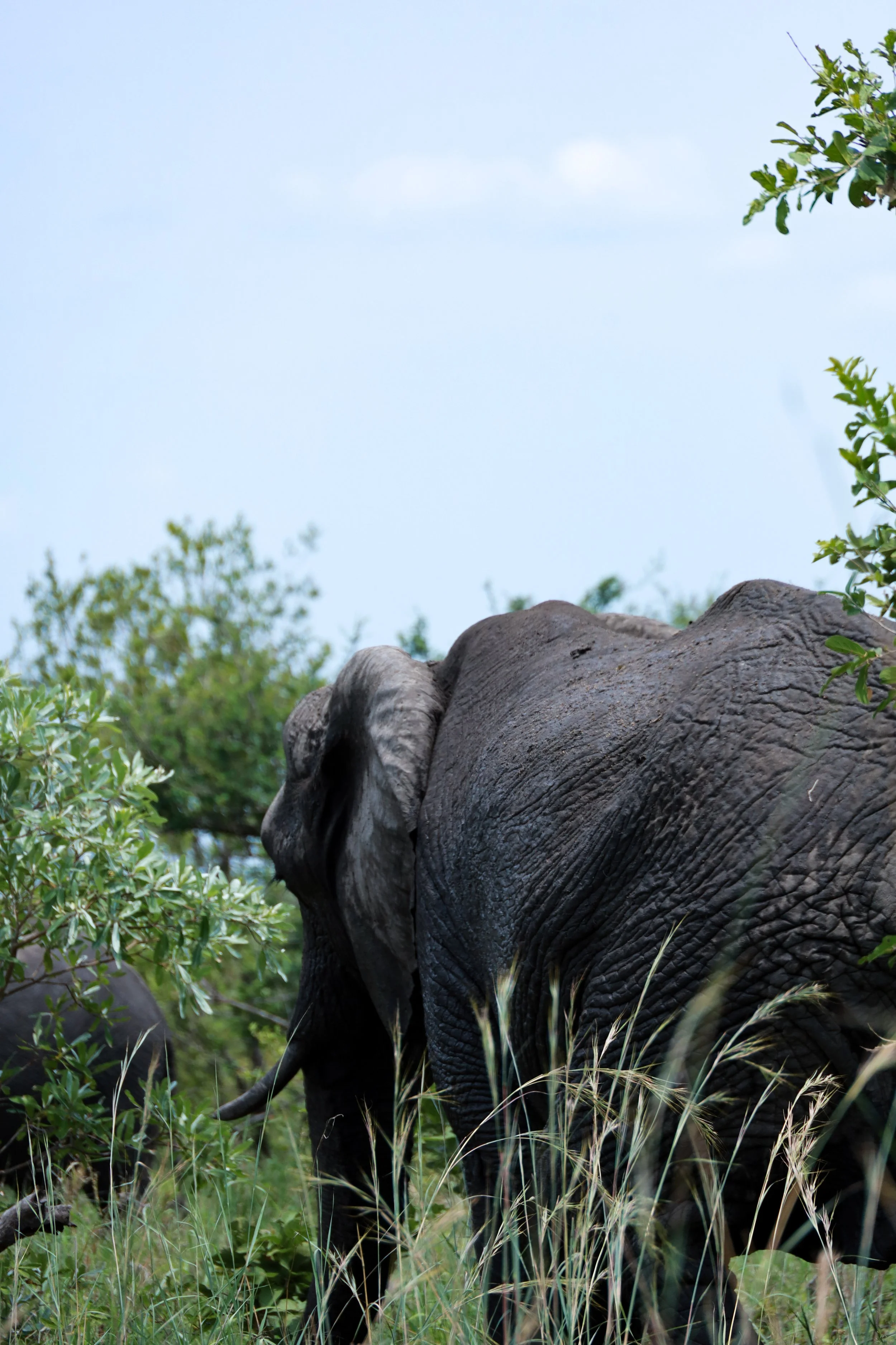 Image - 2024-08-24T102010.495.jpg