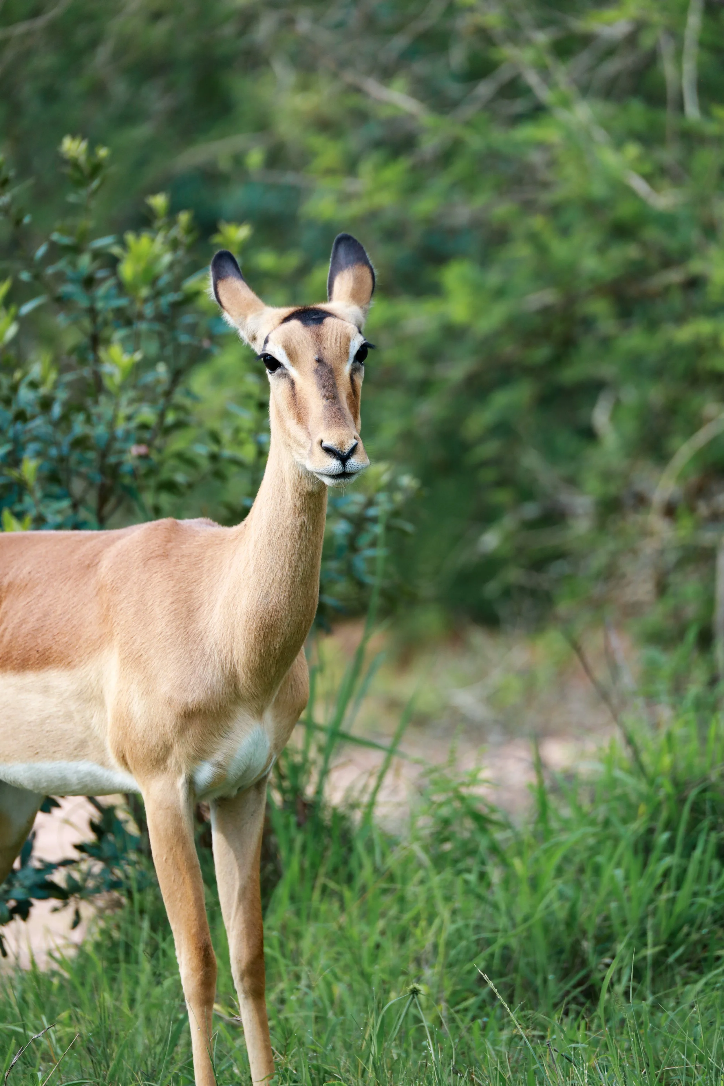 Image - 2024-08-24T101858.086.jpg