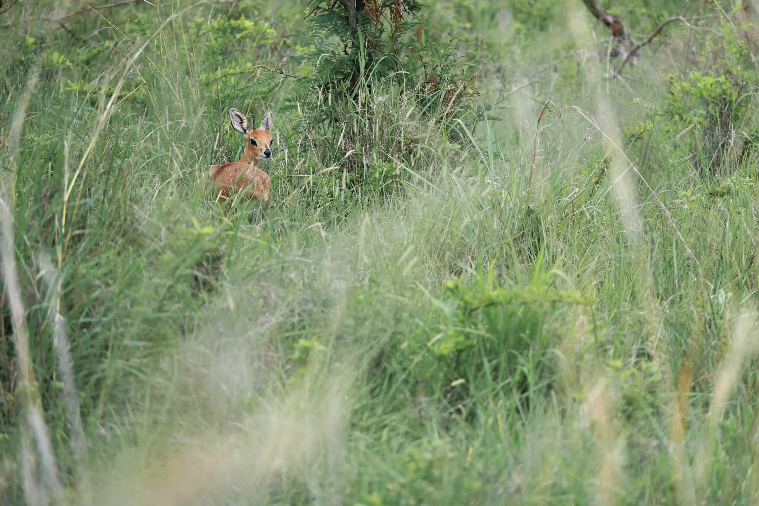 Image - 2024-08-24T102004.974.jpg