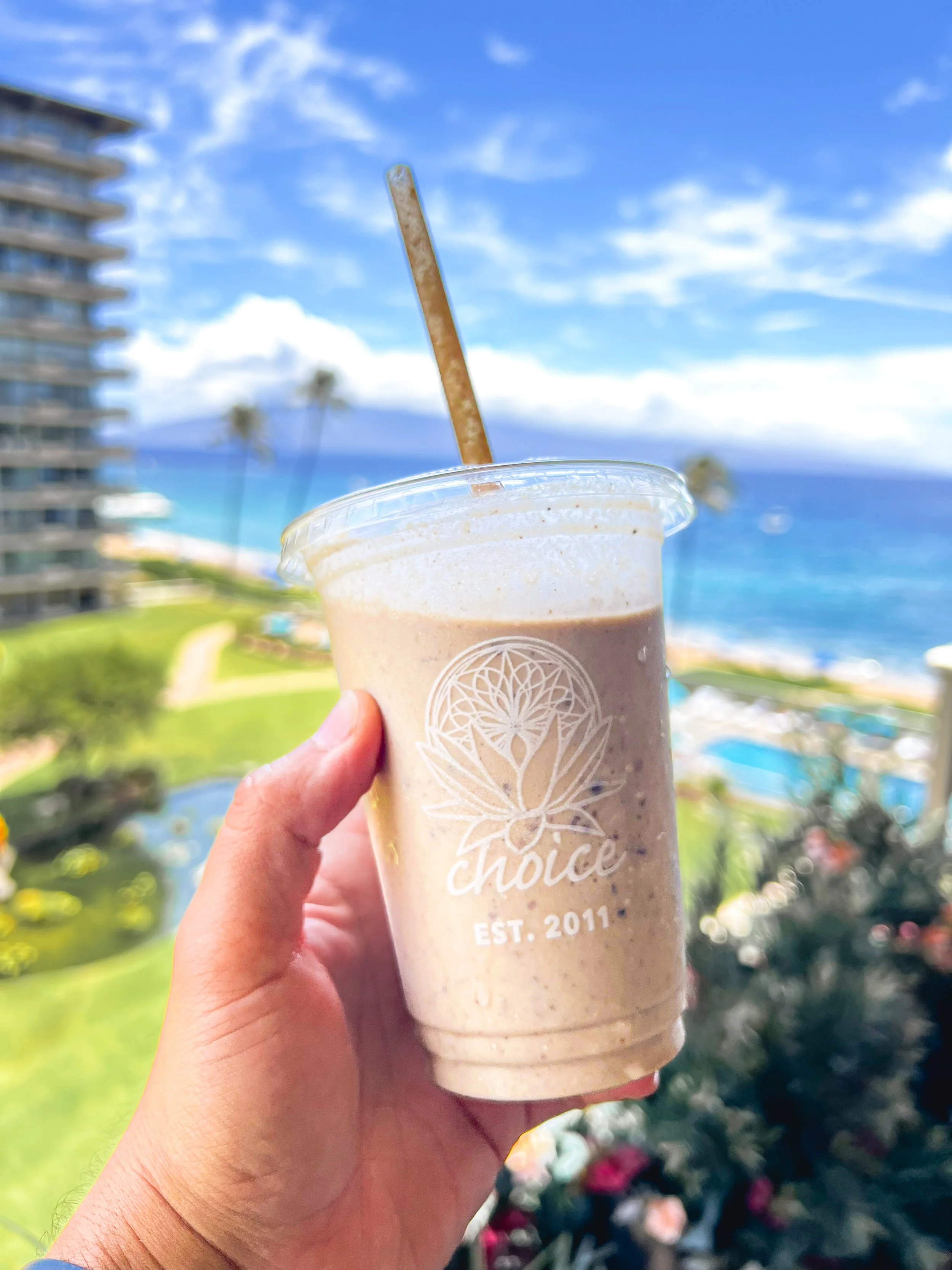 Cookie Monster Smoothie