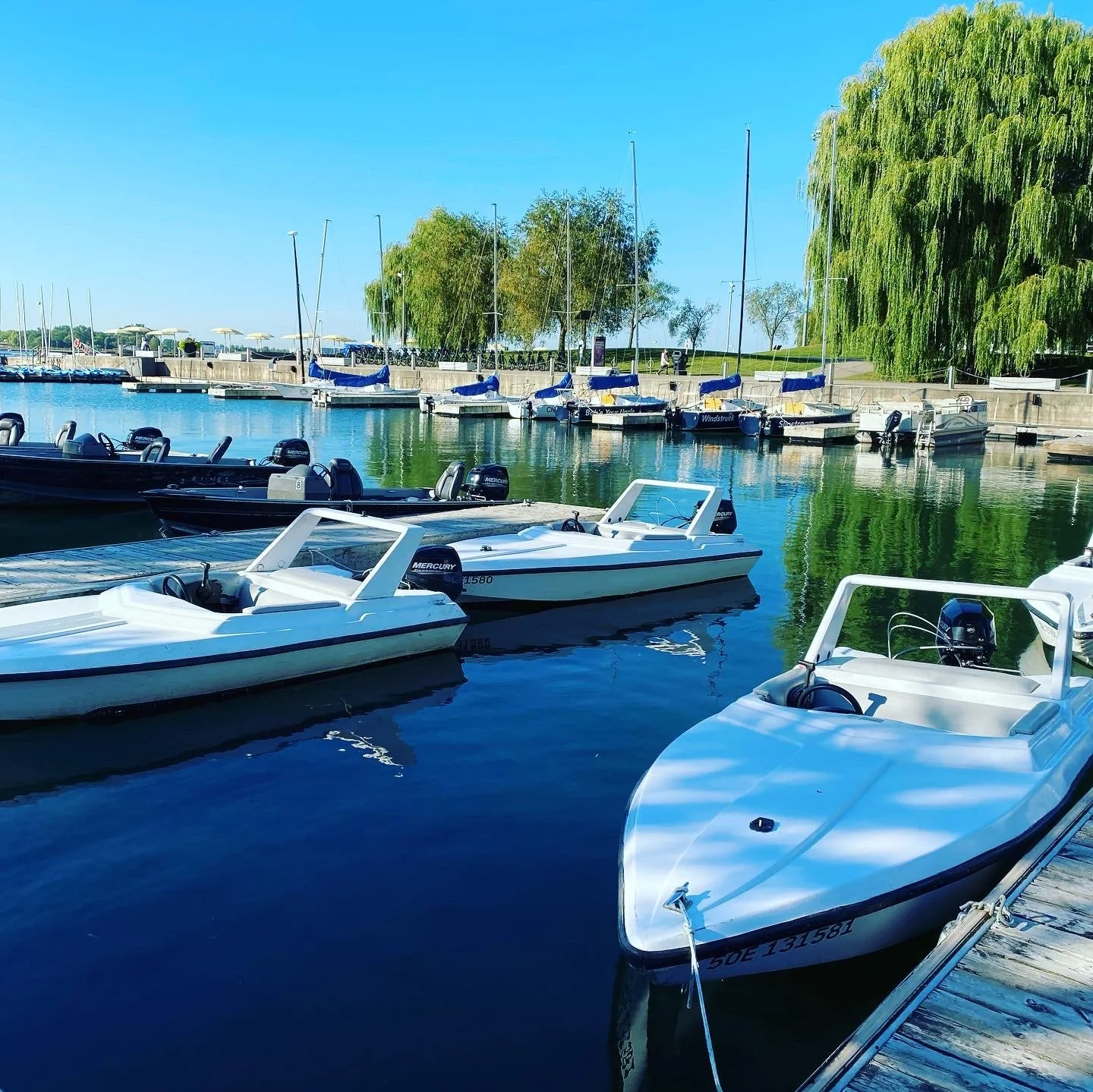Join Our Team — TORONTO HARBOUR NAUTICAL CENTRE
