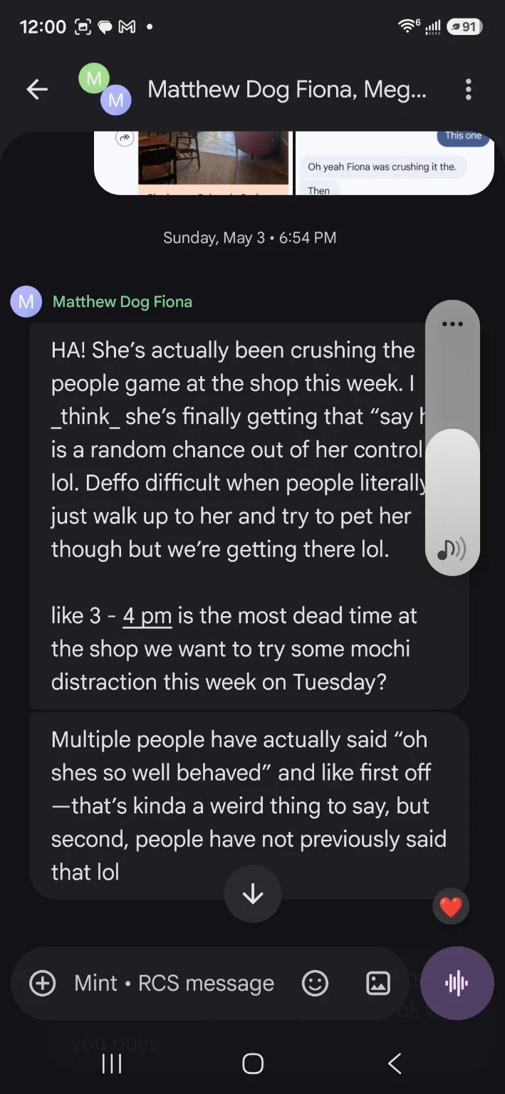 Screenshot of a chat conversation between Matthew Dog Fiona and Meg, discussing a dog's behavior at a shop and the best times to visit, with a date of Sunday, May 3, at 6:54 PM.