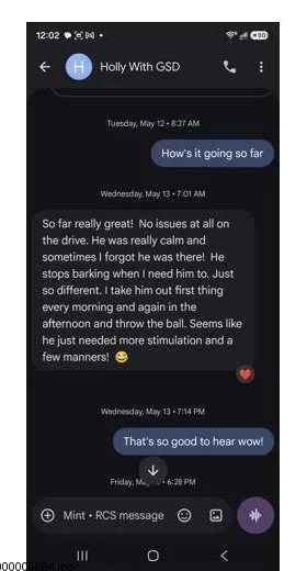 Screenshot of a mobile phone displaying a WhatsApp conversation about a dog, mentioning the dog's calm behavior and repeated walks, with messages exchanged between Holly with GSD and another person.