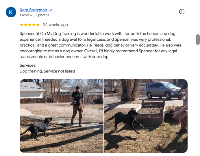 Two photos of a dog training session outdoors in a backyard, with a trainer and a black Labrador puppy.