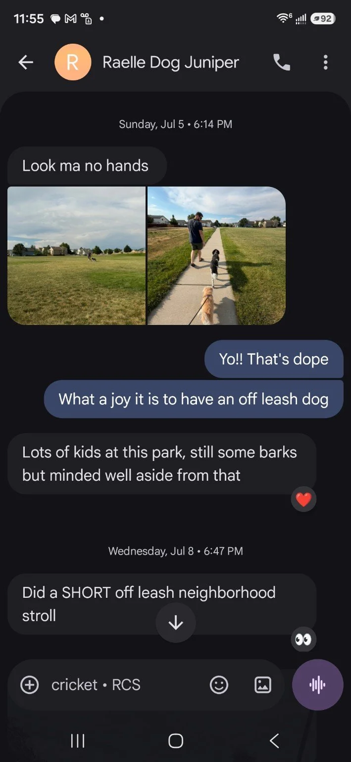 Two photos of dogs being walked in a park, one with a person walking a dog on a leash and another dog running freely.