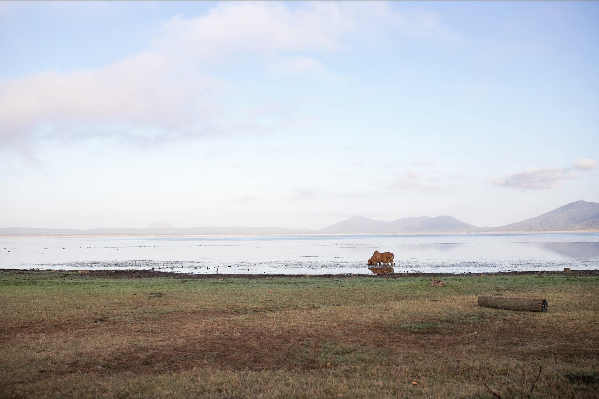 Lakeproserpine-November 04, 2020-2.jpg