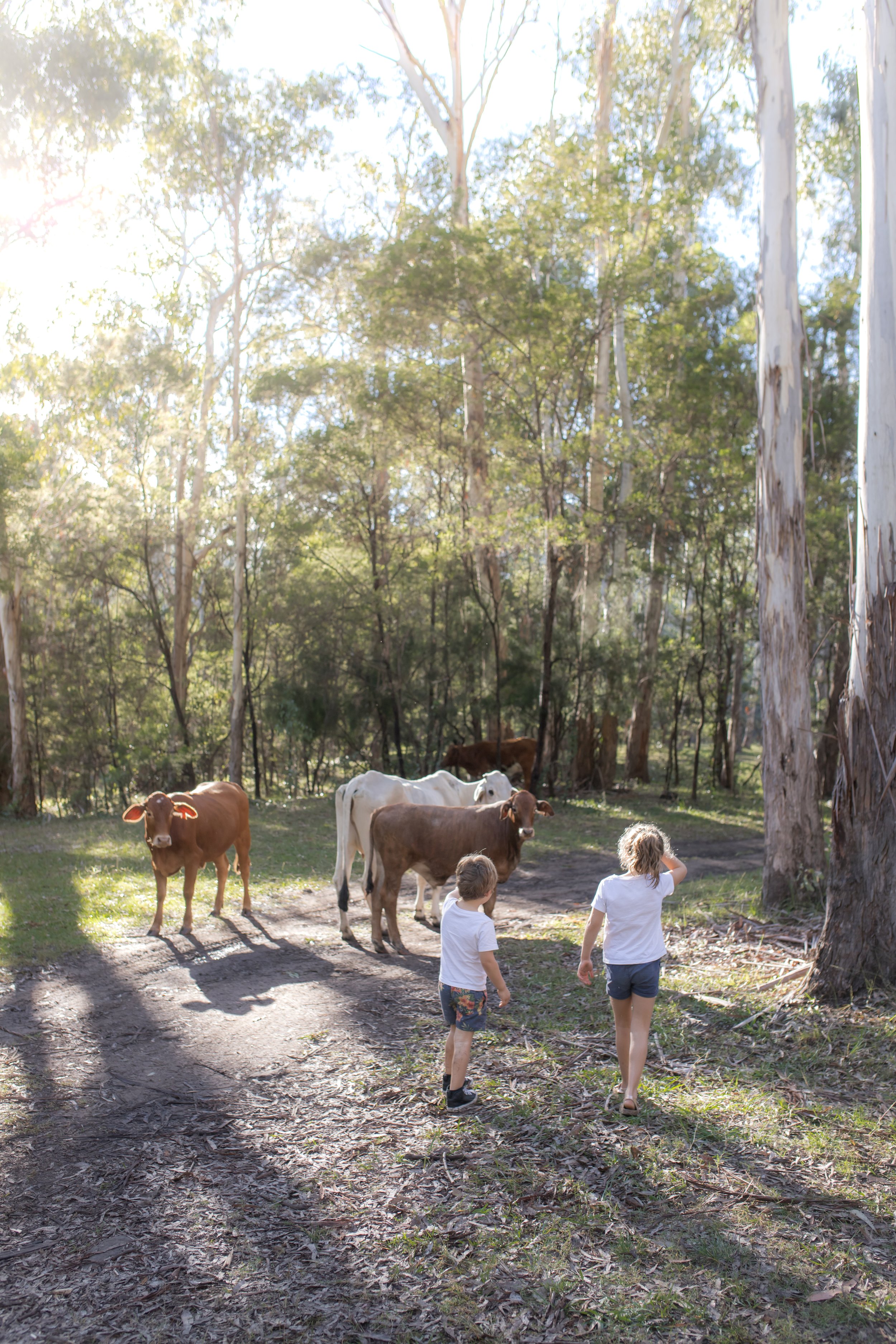 camping (7 of 14).jpg