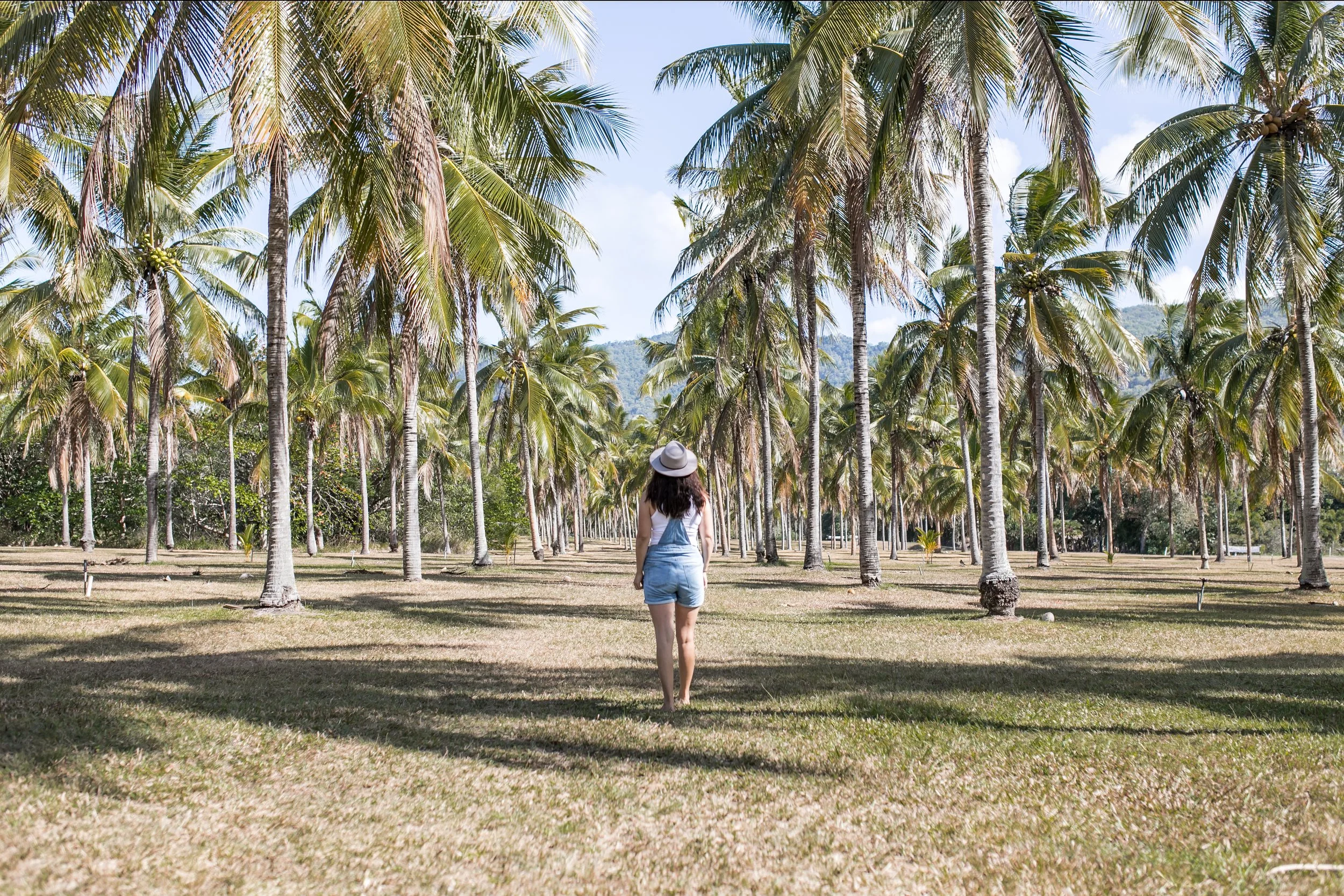 ThalaPalms-October 05, 2020-3.jpg