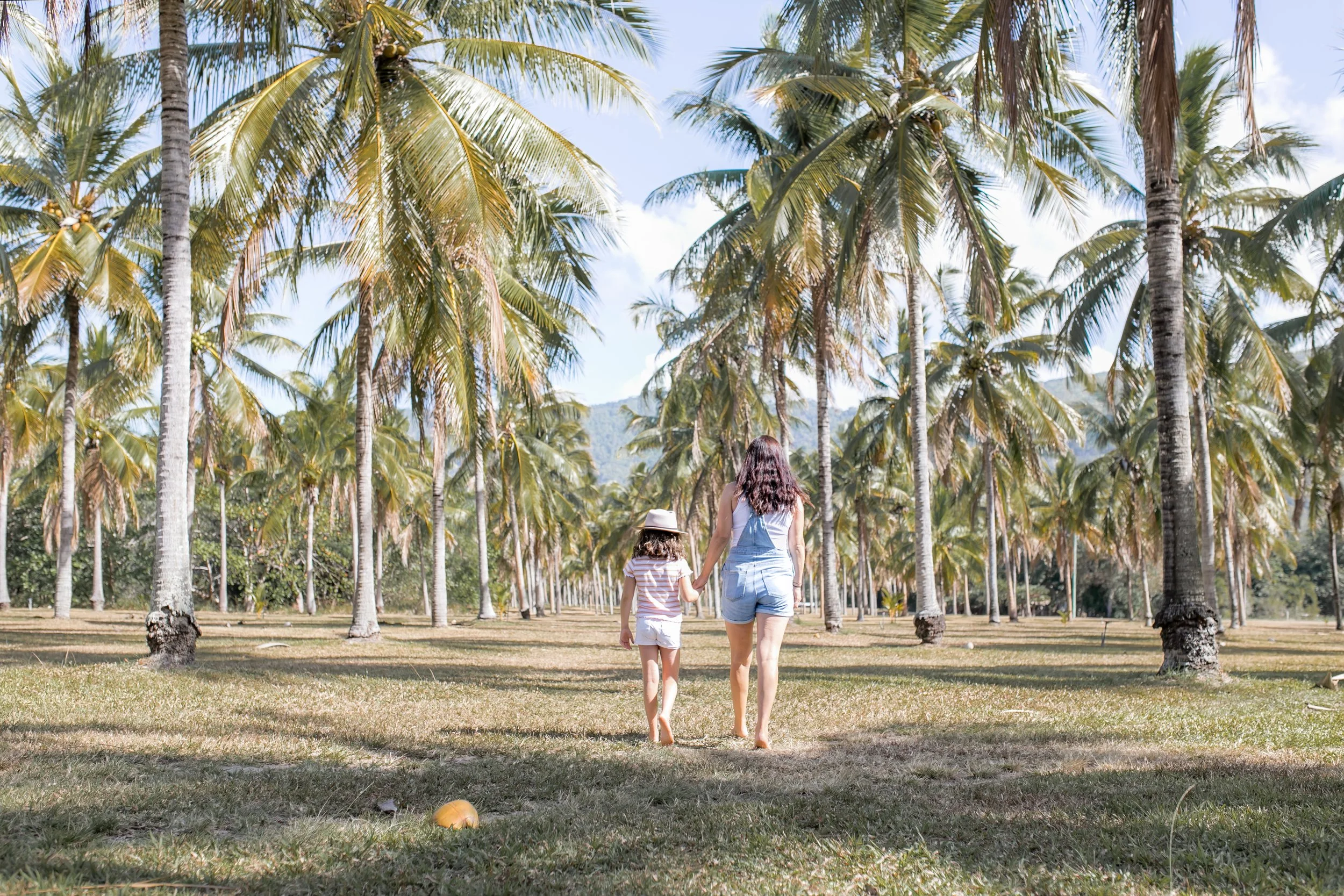 ThalaPalms-October 05, 2020-13.jpg