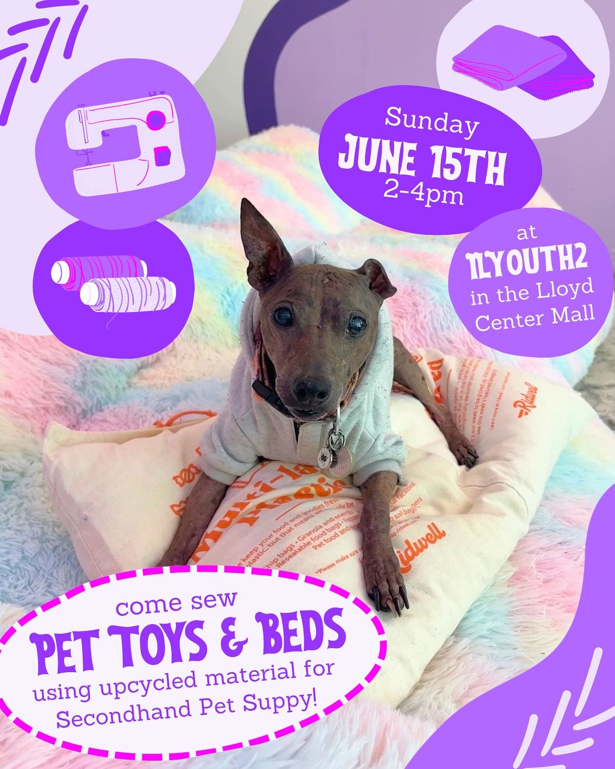 Come sew 𝗣𝗘𝗧 𝗧𝗢𝗬𝗦 &amp; 𝗕𝗘𝗗𝗦 with us!!

Sunday, June 15th, 2-4pm we&rsquo;ll be hosting our second 𝗔𝗟𝗟 𝗔𝗚𝗘𝗦 &amp; 𝗔𝗟𝗟 𝗦𝗞𝗜𝗟𝗟 𝗟𝗘𝗩𝗘𝗟𝗦 sewing hangout, creating pet toys and beds for Secondhand Pet Supply!

We&rsquo;ll be u