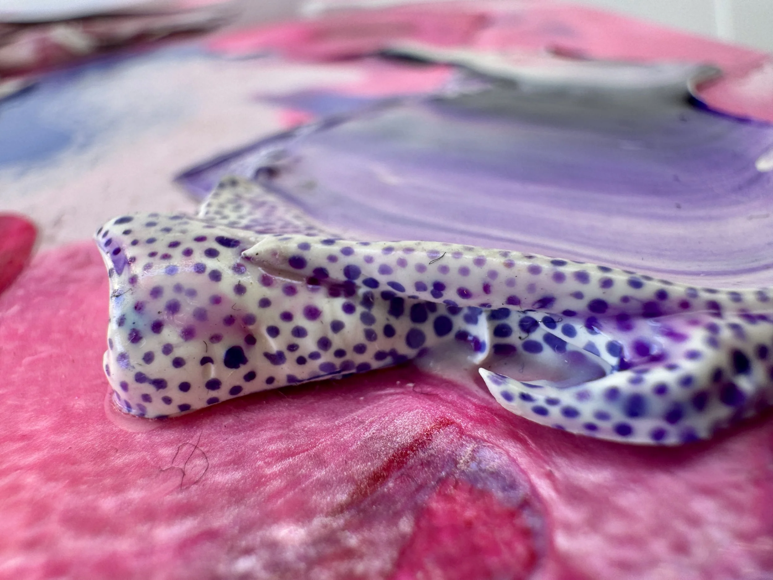 Pop Up Close Up 5.jpg