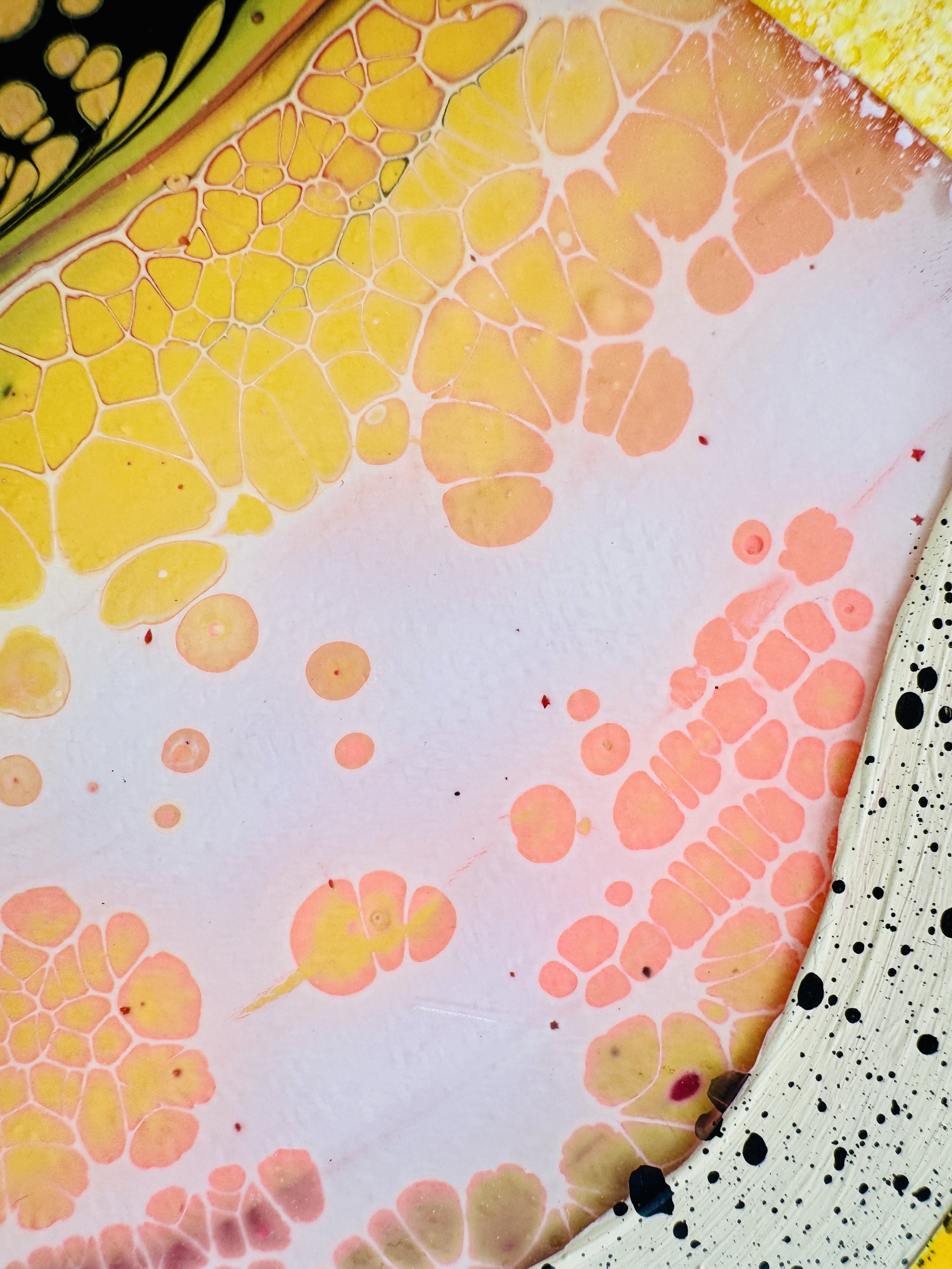 Two, Not Three Close Up 5.jpg