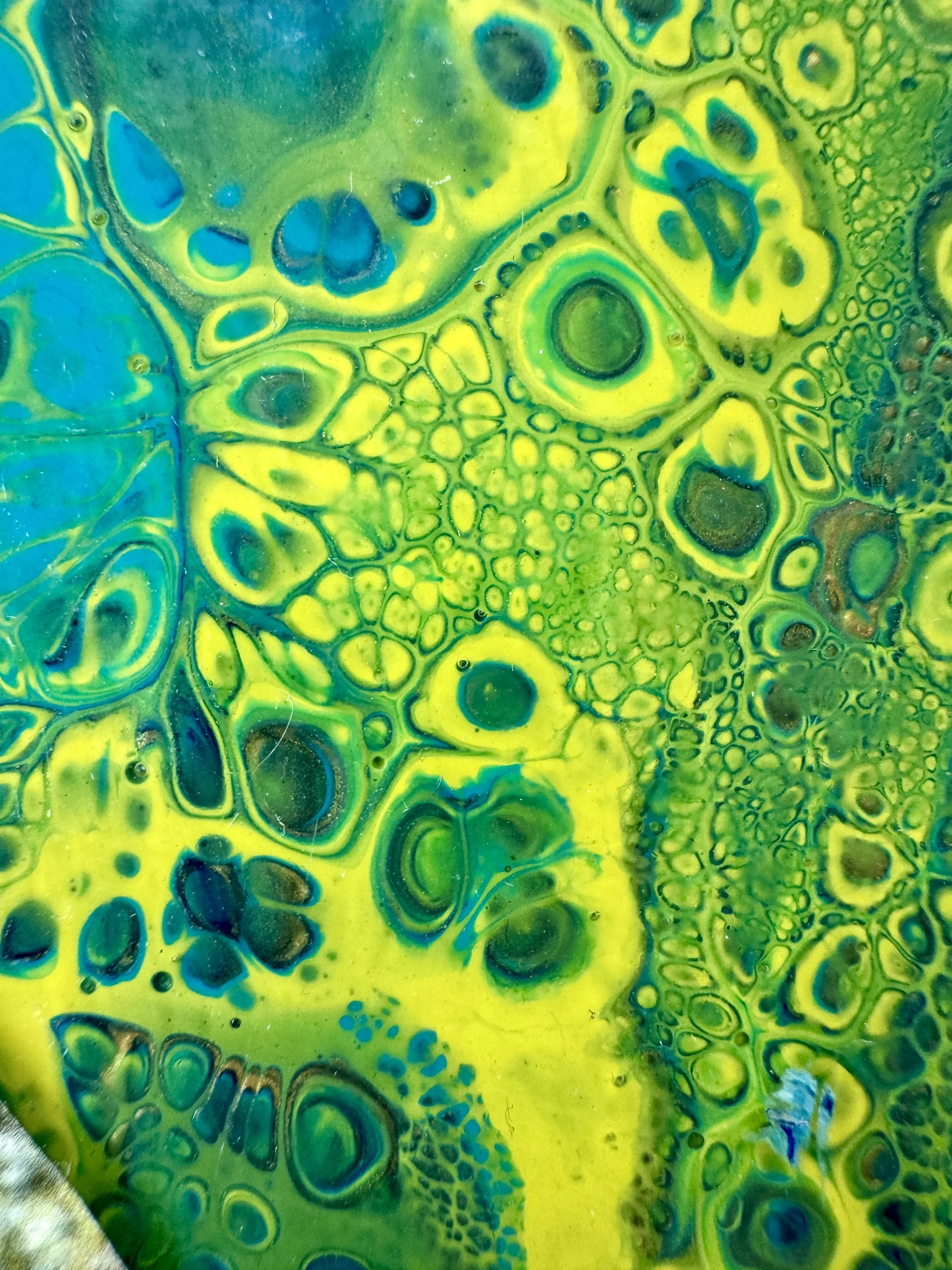 Observer or Observee Close Up 5.jpg