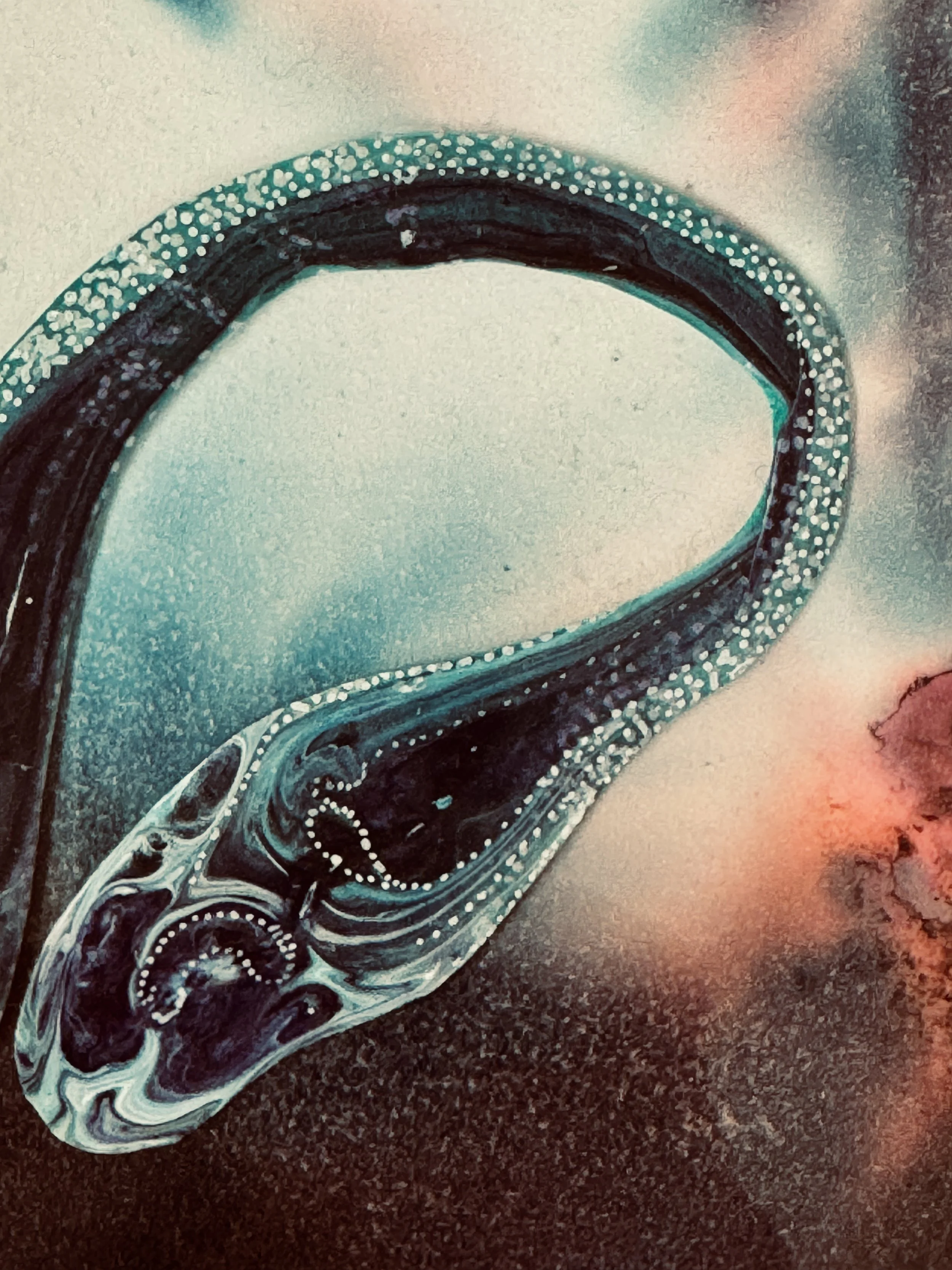 Snake Medicine Close Up.jpg