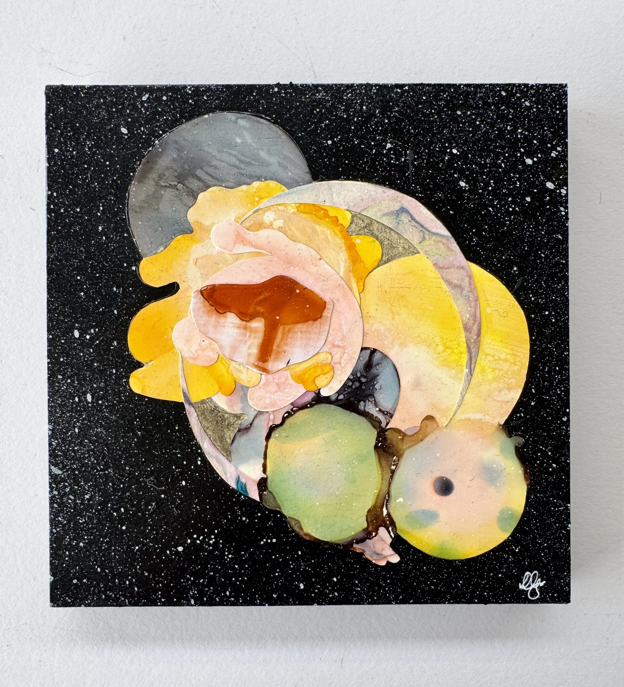 Space Omelet White Background.jpg