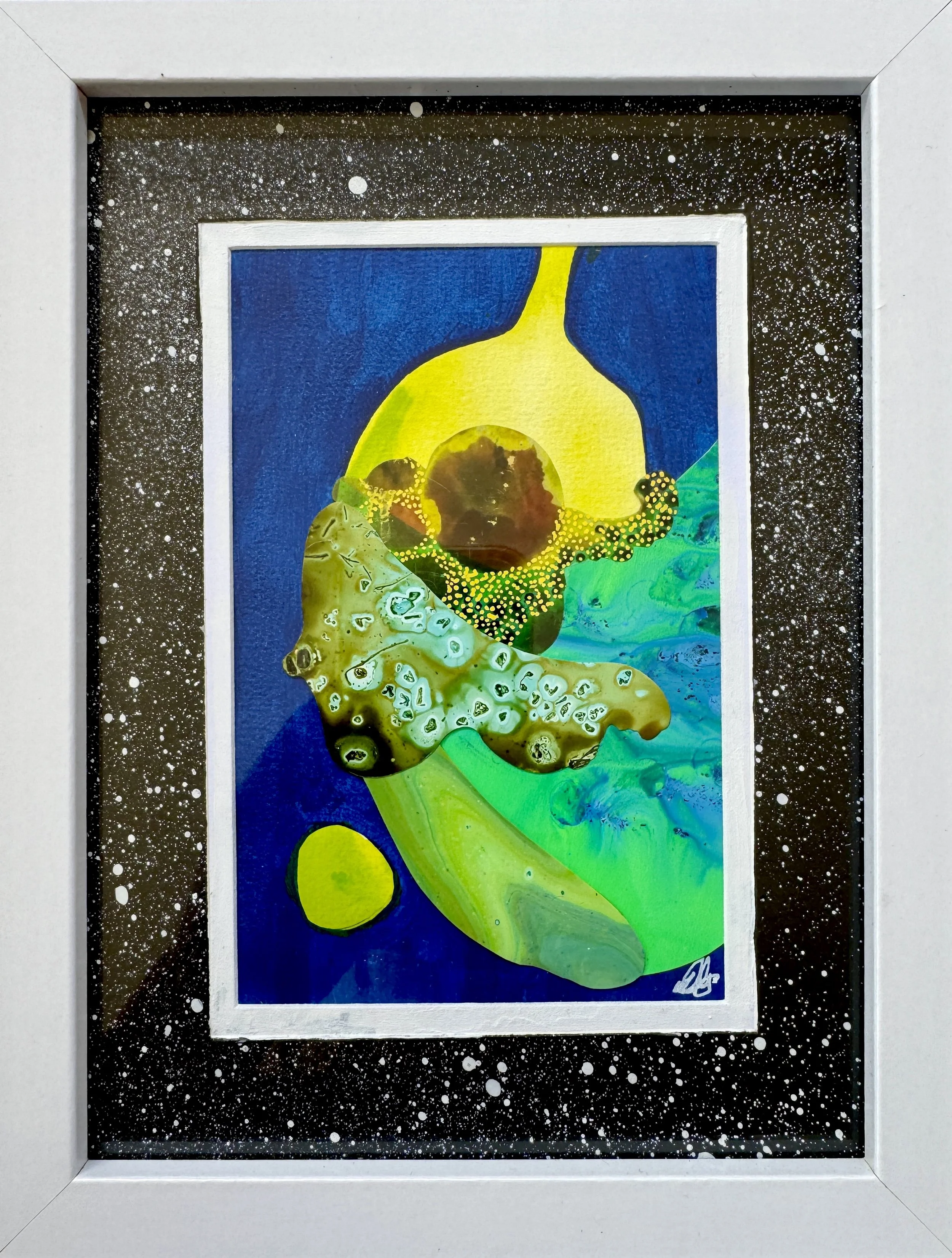 Moth Lessons Framed (Tight Crop).jpg